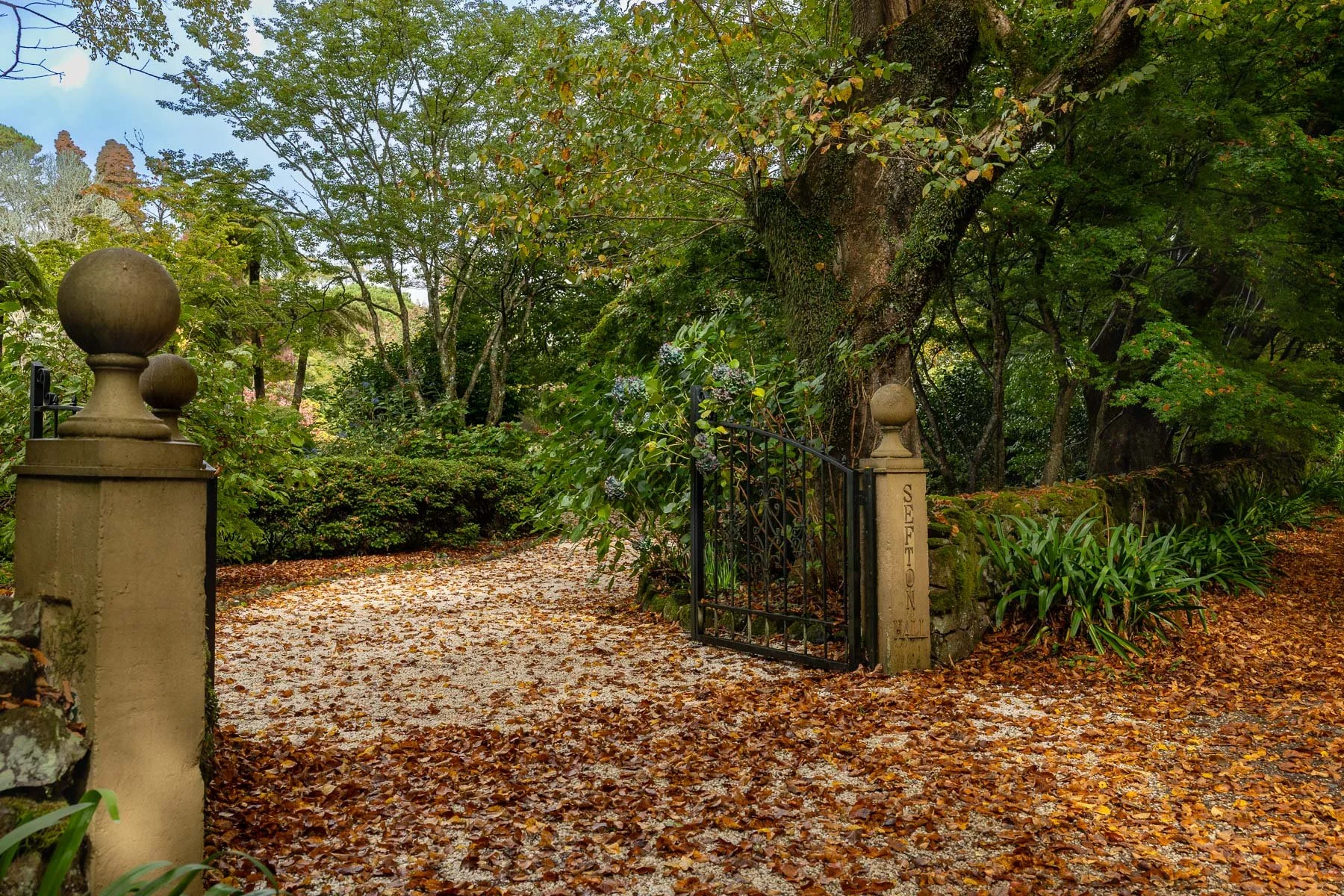 02 Sharon Wiley - Sefton Hall Garden.jpg