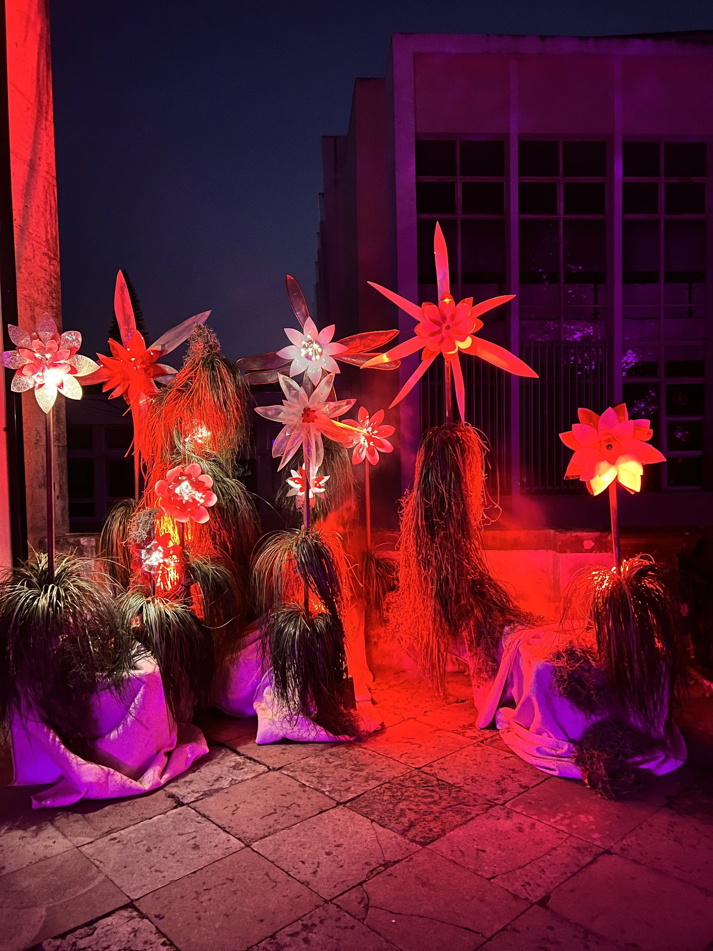 Bloom – Illuminated Floral Installation
