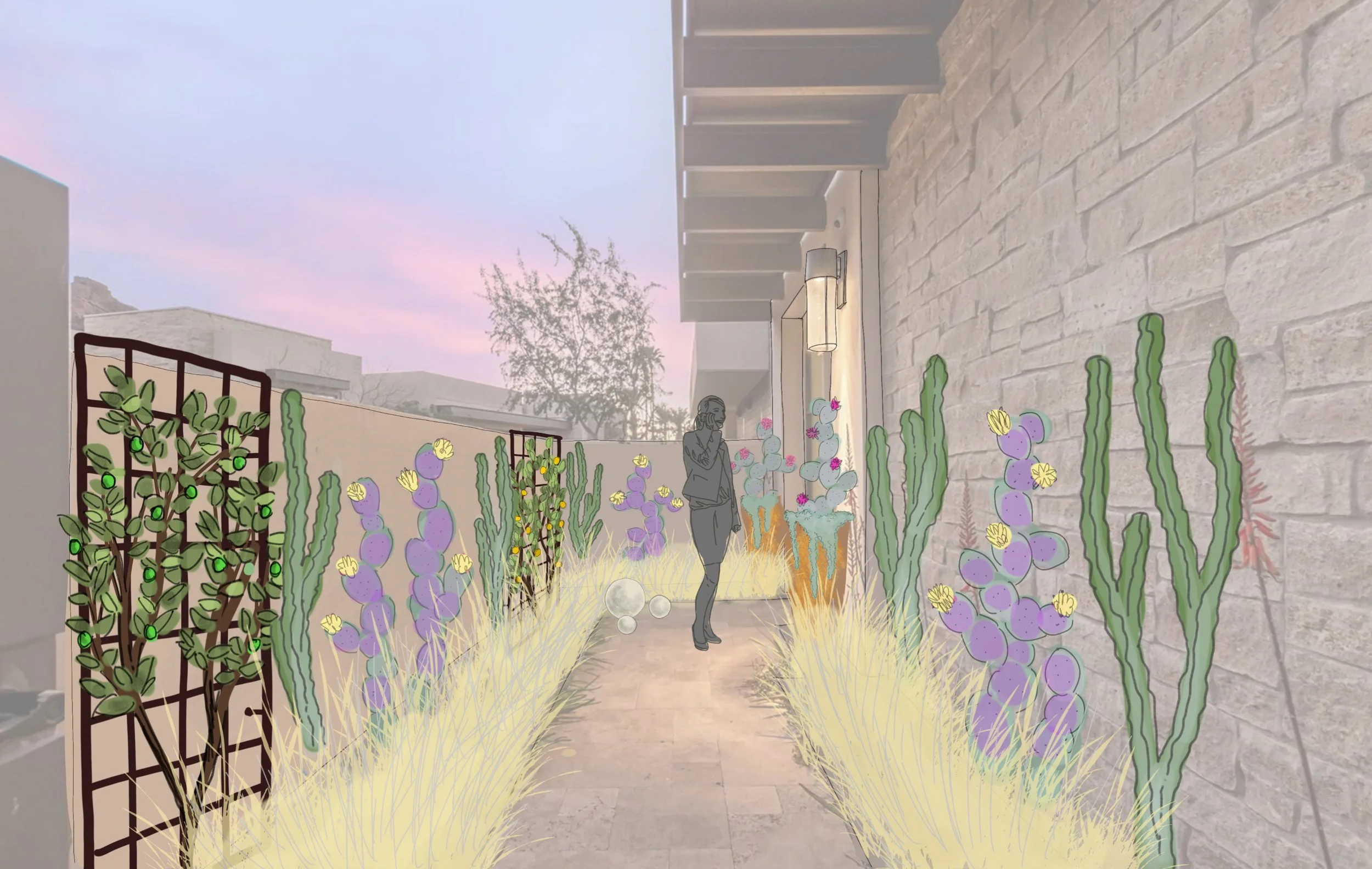 LAS-BRISAS-ENTRY-STUDY C.jpeg