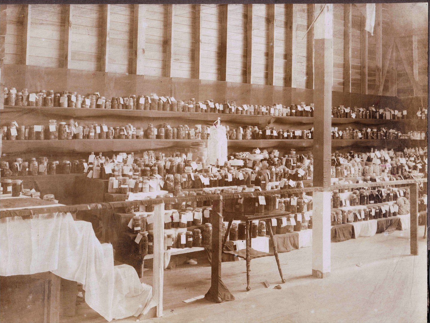 Look at all of these canned goods on display in the Main Exhibit Hall. Do you think we can beat this number of submissions in the 2025 fair? #orangeburgfairhistory #orangeburgcountyfair