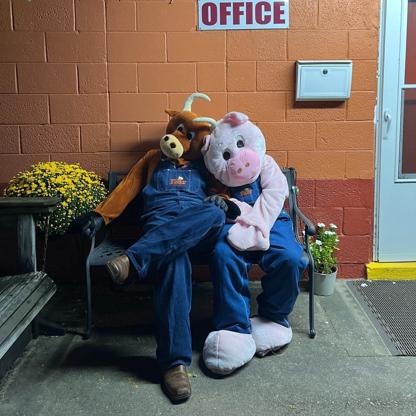 That's all, folks!

After an incredible 2025 Orangeburg County Fair, Cow and Piggy are headed to the barn to rest. See you next year!