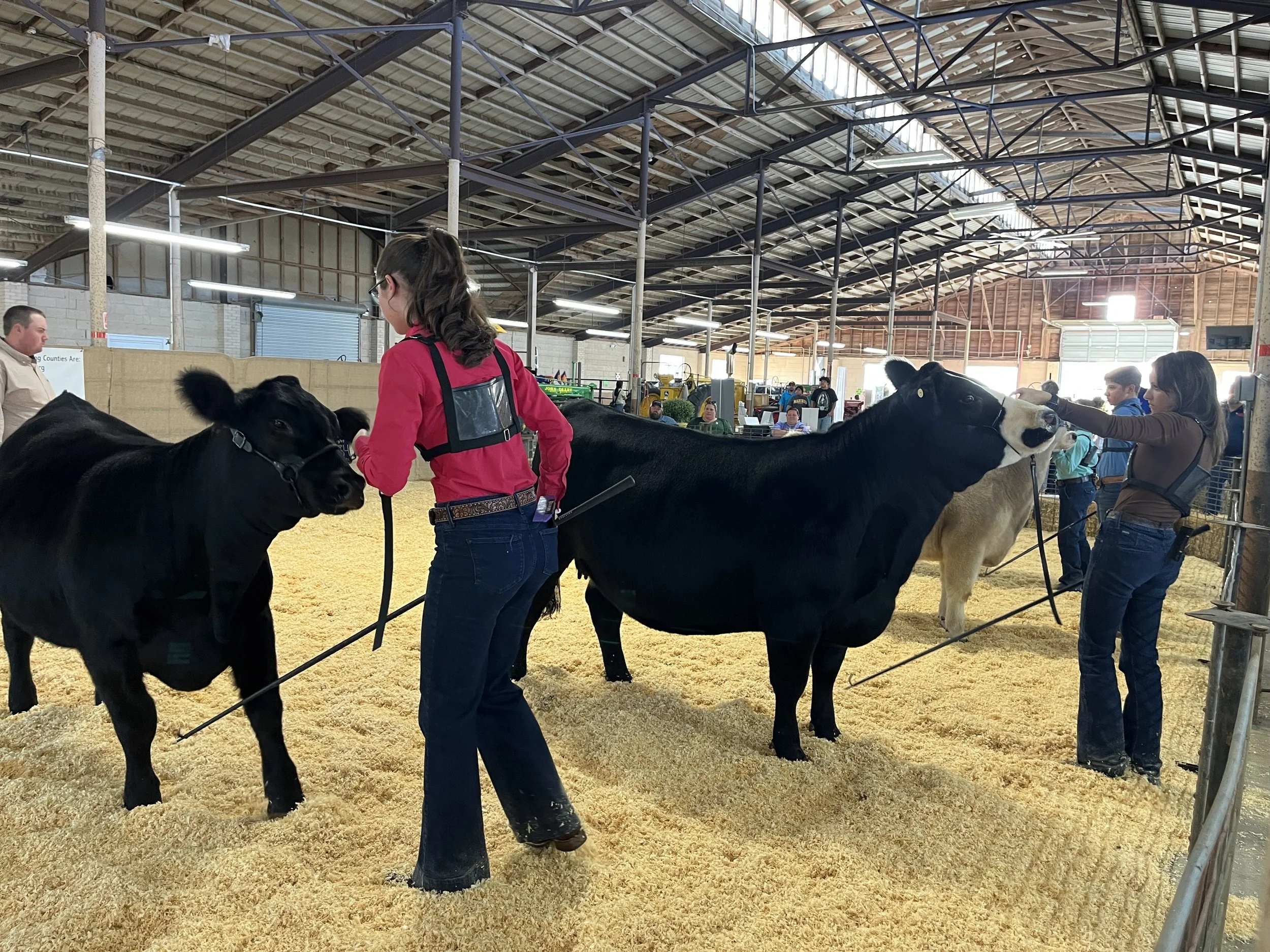 Orangeburg County Fair 