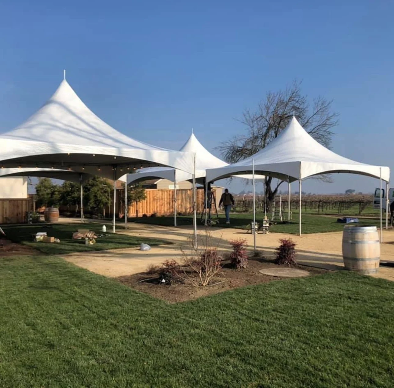 Group of event tents in a garden for a birthday party.