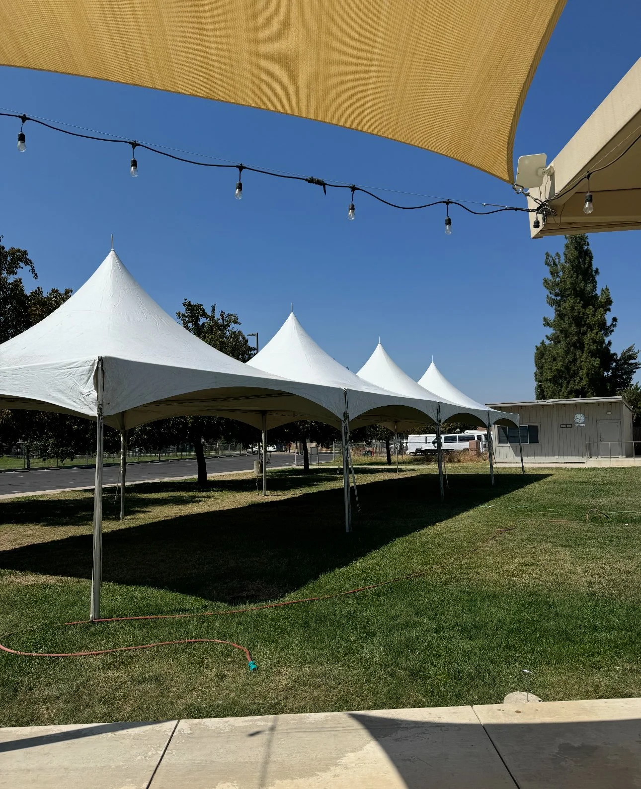 20x20 white tents on a grassy lawn with outdoor seating for event guests.