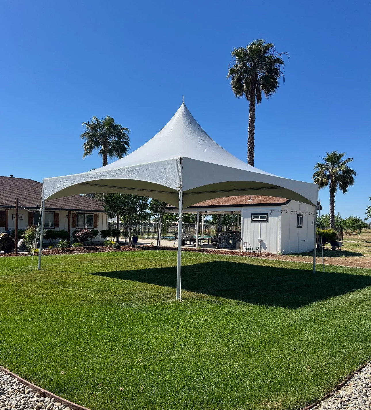 20x20 white tent on grass at an outdoor event in Northern California.