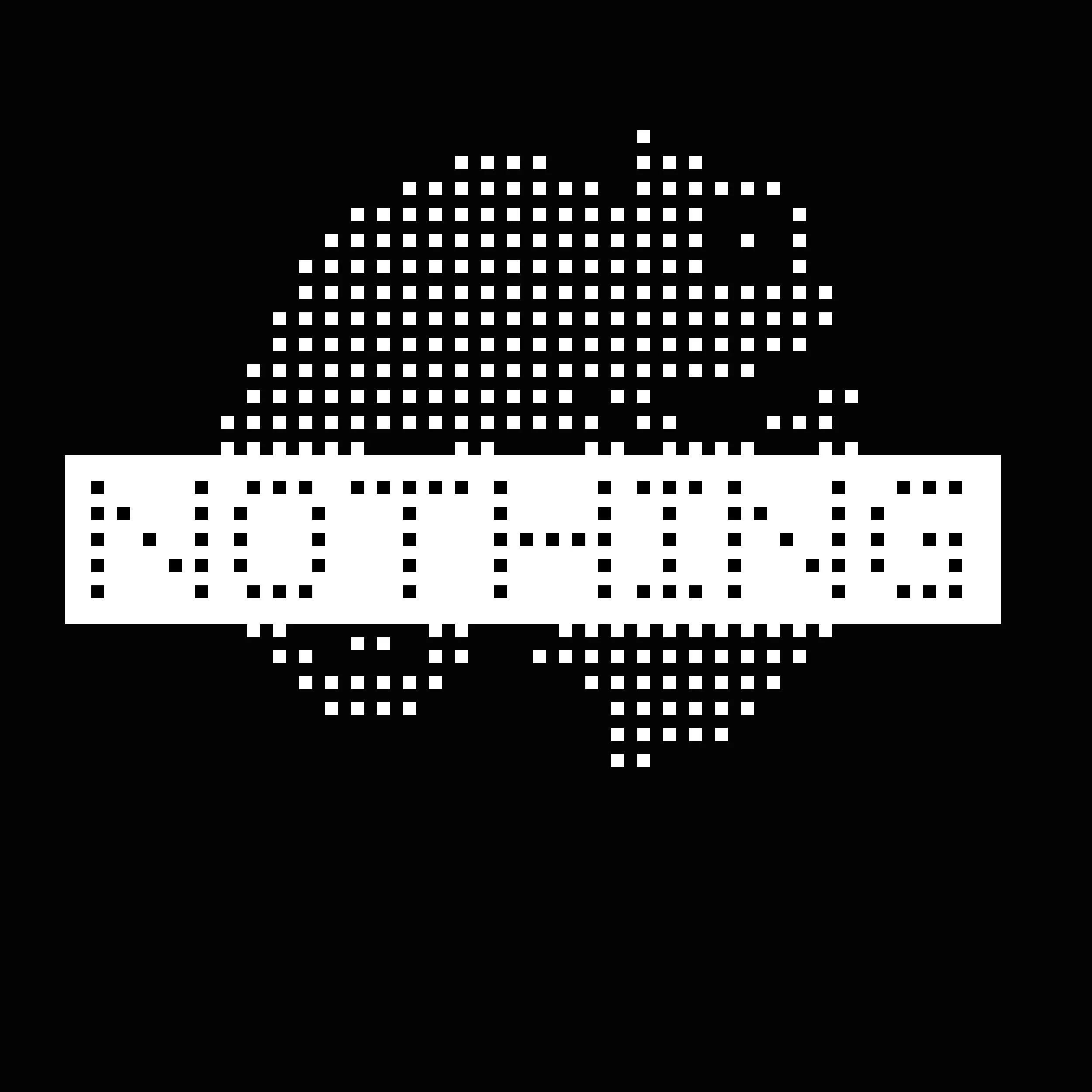 What Does Your Phone Look Like?