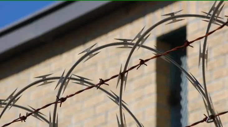 Screenshot 2025-04-18 at 11.37.10 AM.jpg