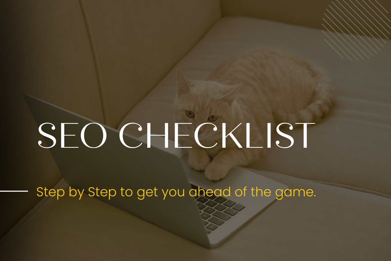 ✦ How to improve seo for squarespace website