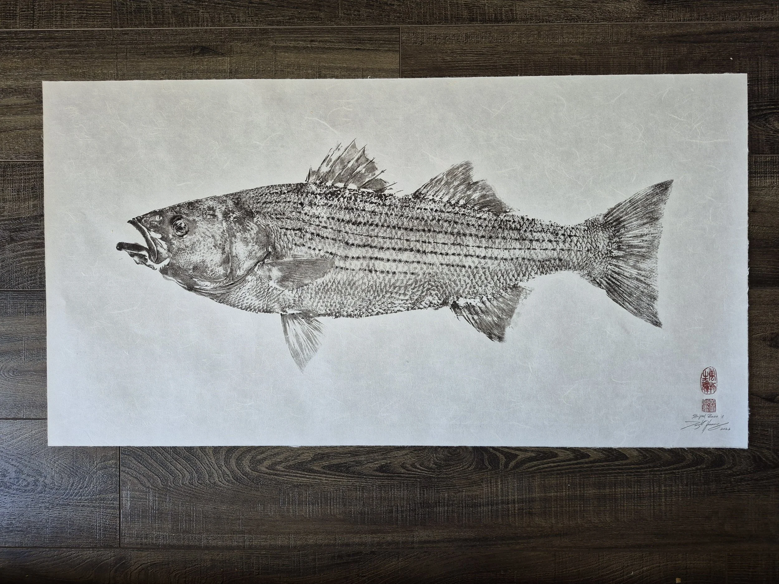 Traditional Striped Bass Gyotaku I - 26x15" 2026