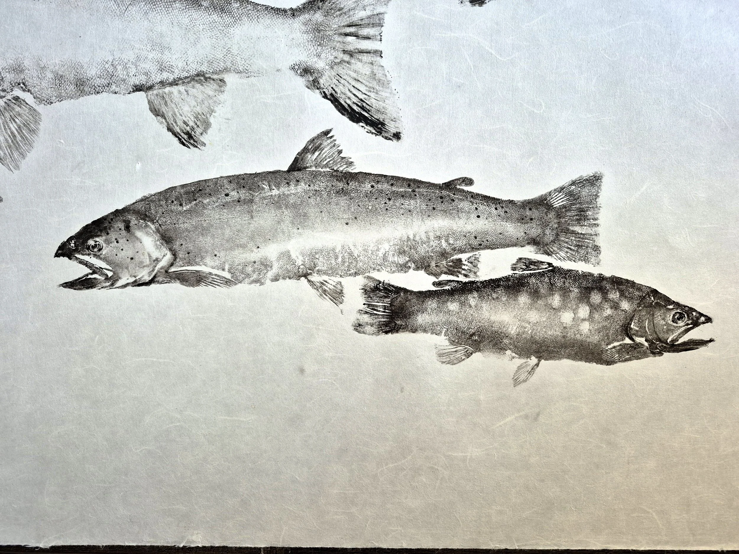 20260716_153531.jpg