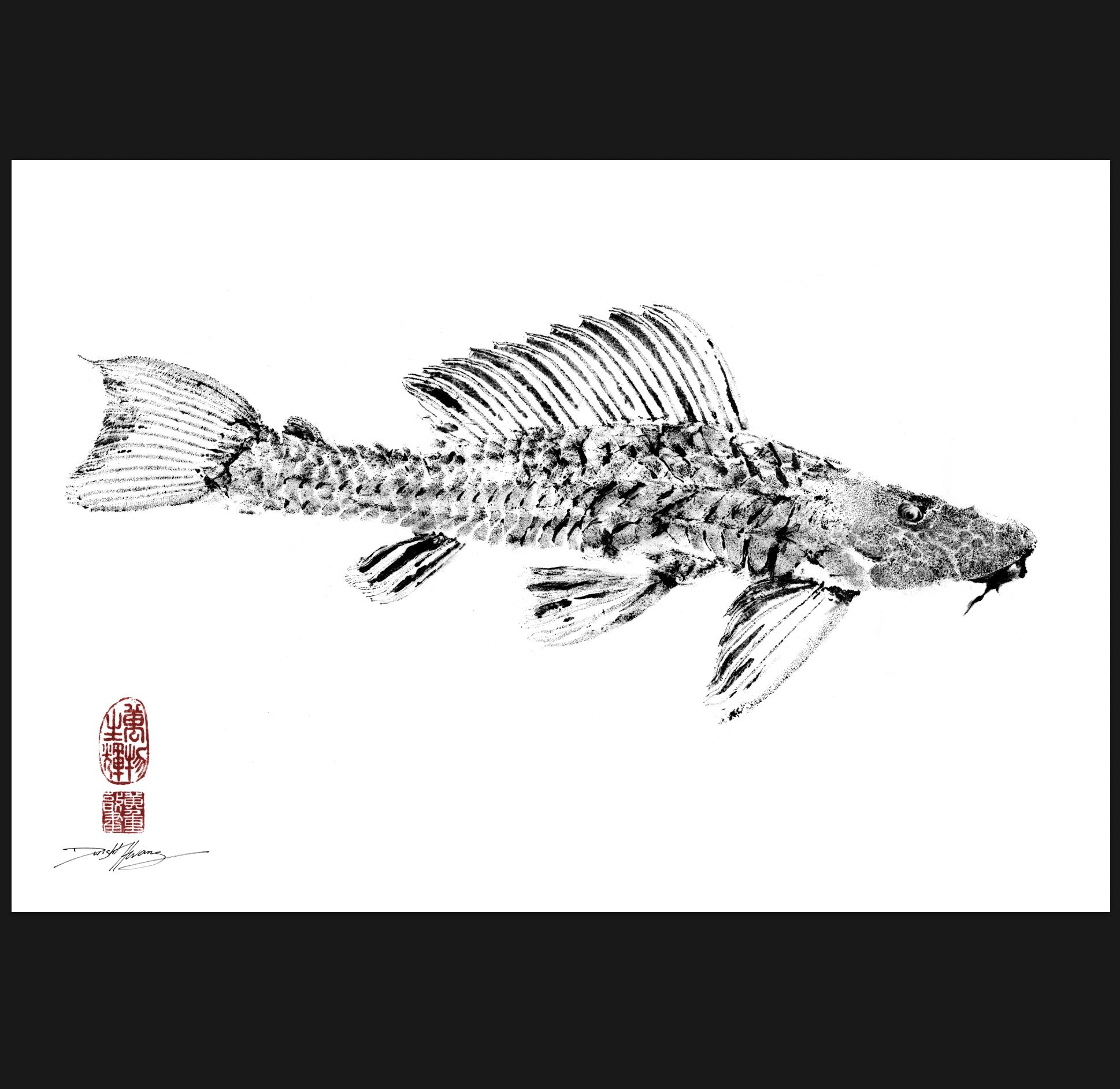 Amazon River Plecostomus or Pleco Catfish Gyotaku Reproduction Print