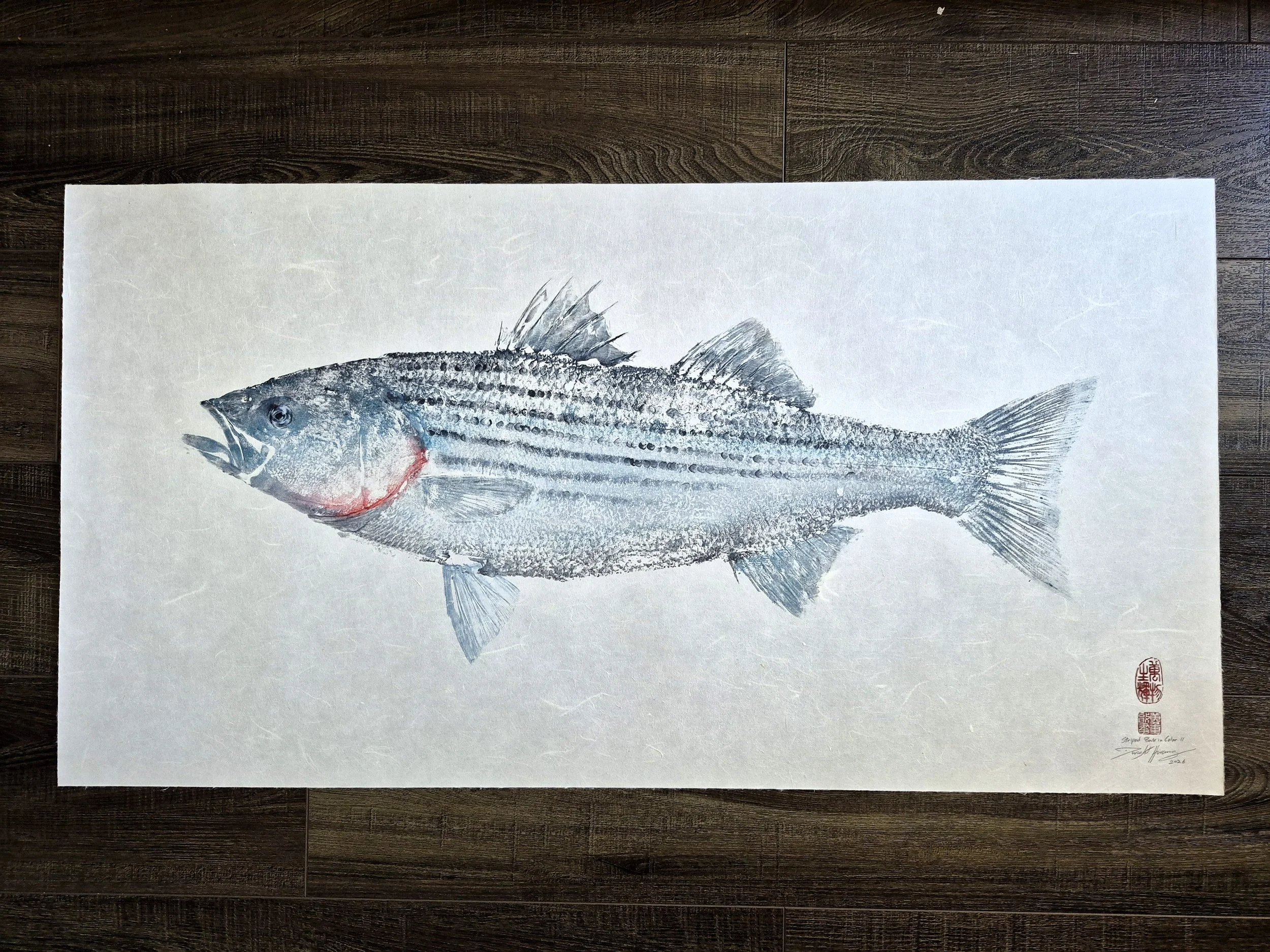 Striped Bass Color Gyotaku II - 38x20" 2026