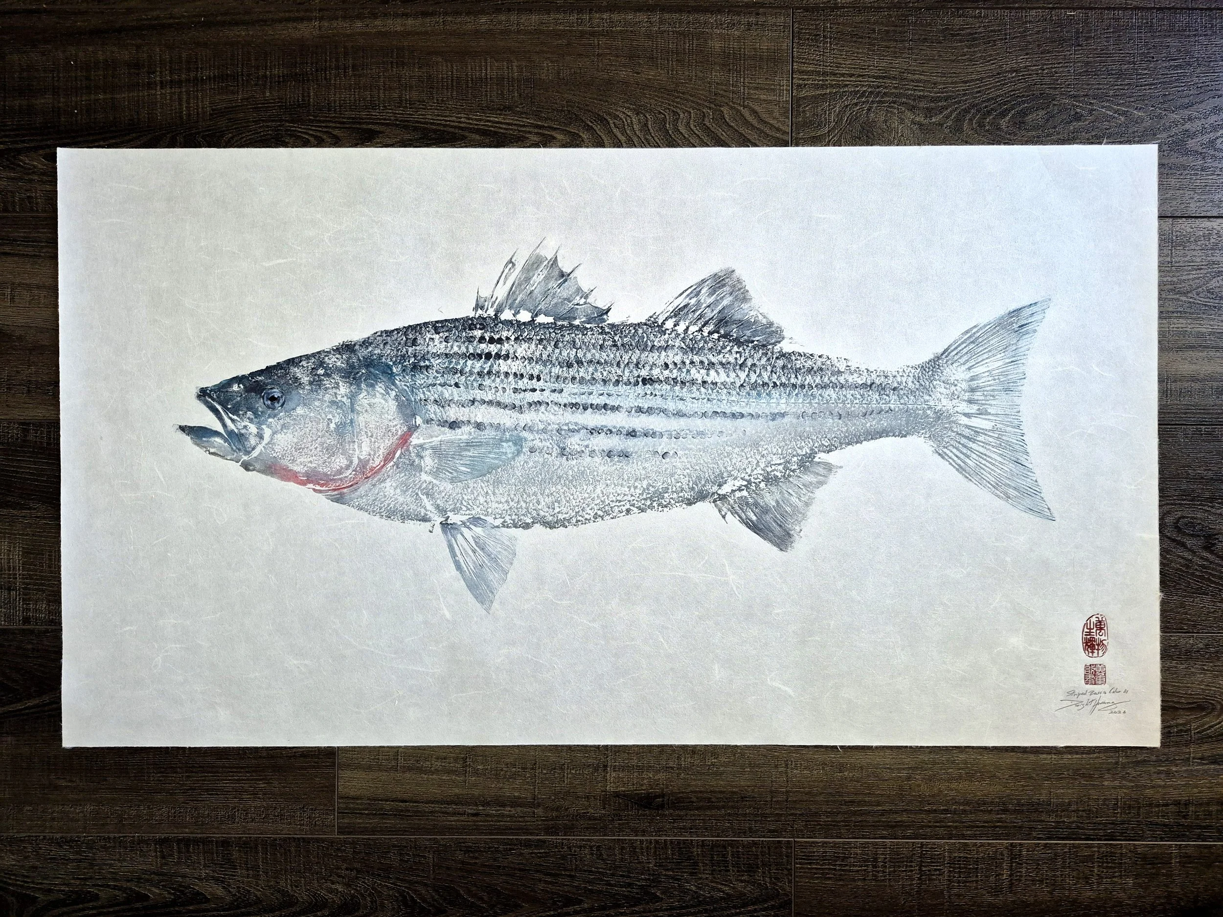 Striped Bass Color Gyotaku III - 37.5x20.5" 2026