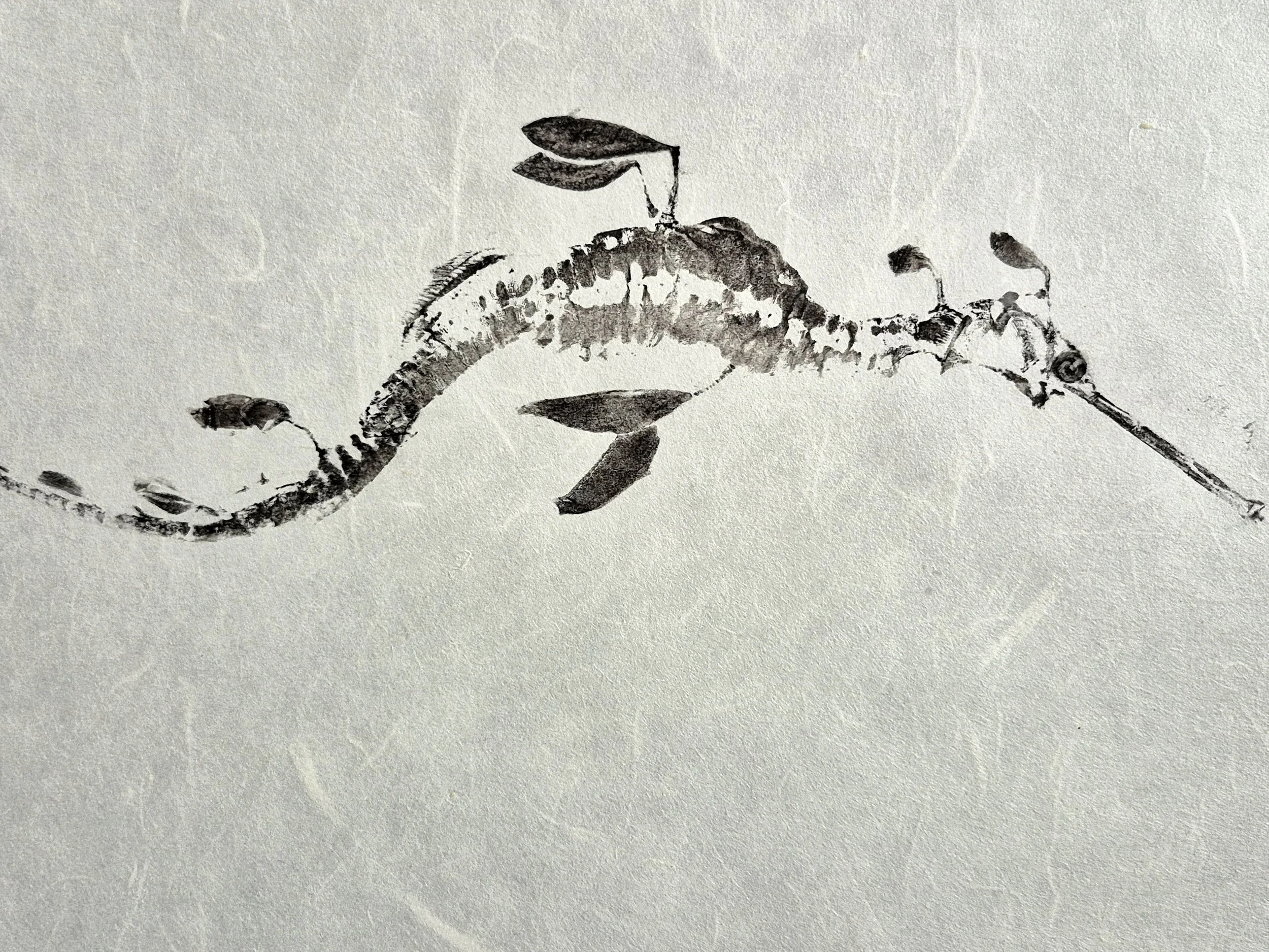 20250825_125830.jpg