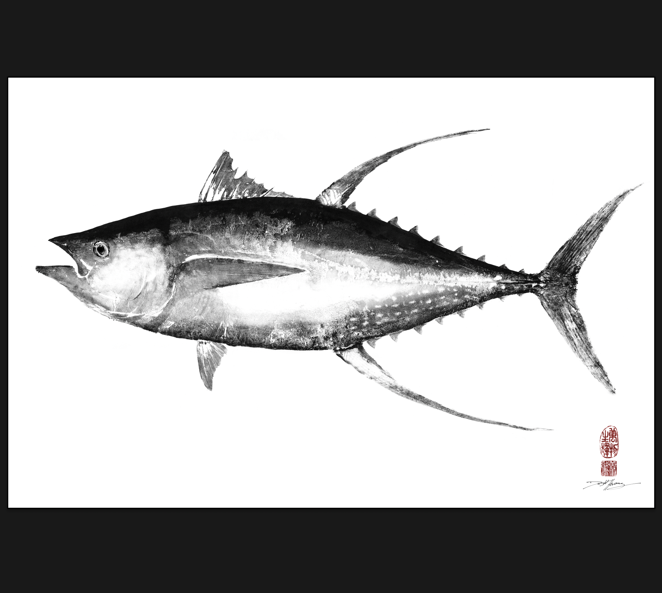 Fijian Yellowfin Tuna B&W with Sickles Reproduction