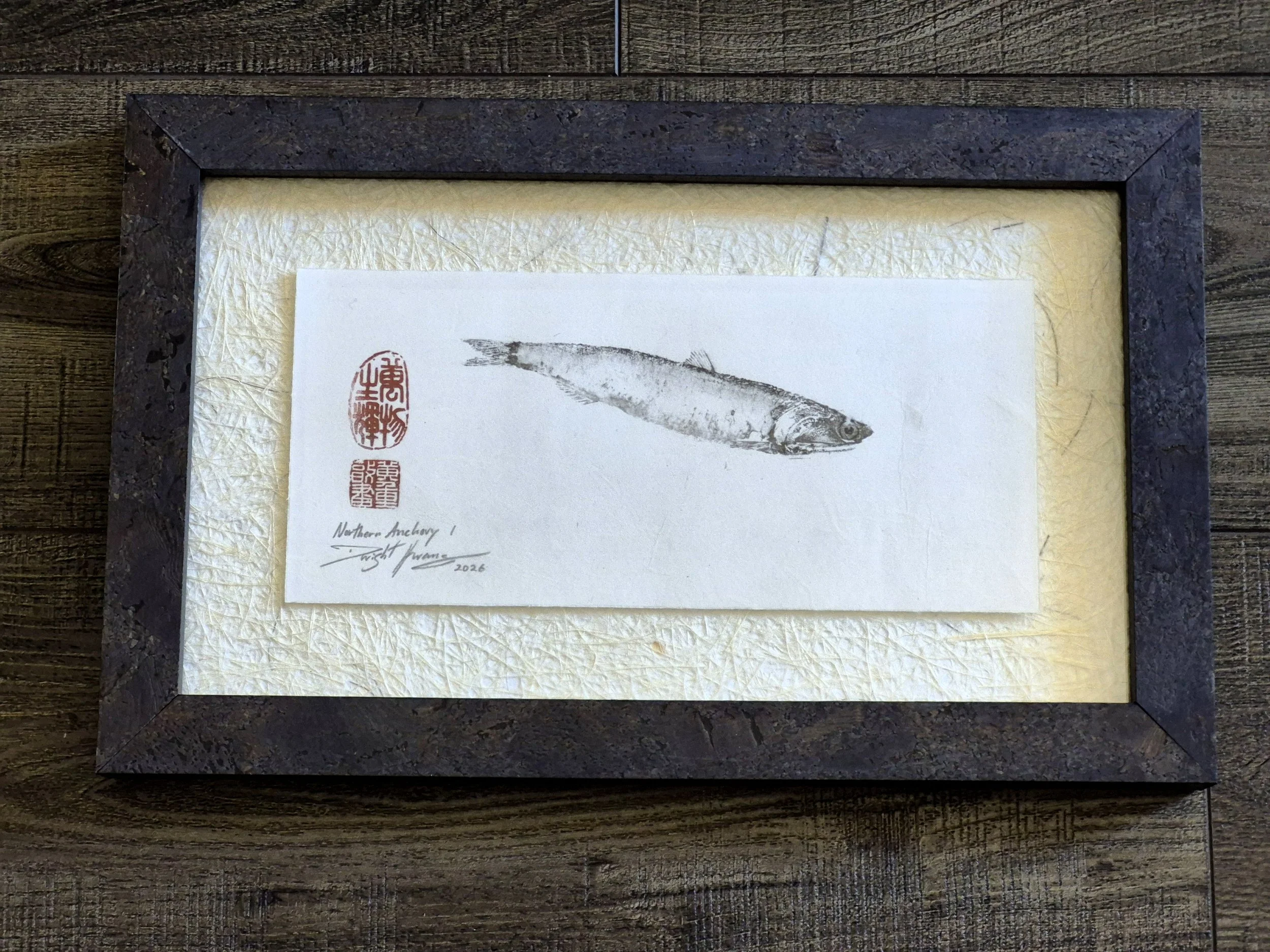 Northern Anchovy I 16x10" - 2026 (FRAMED)