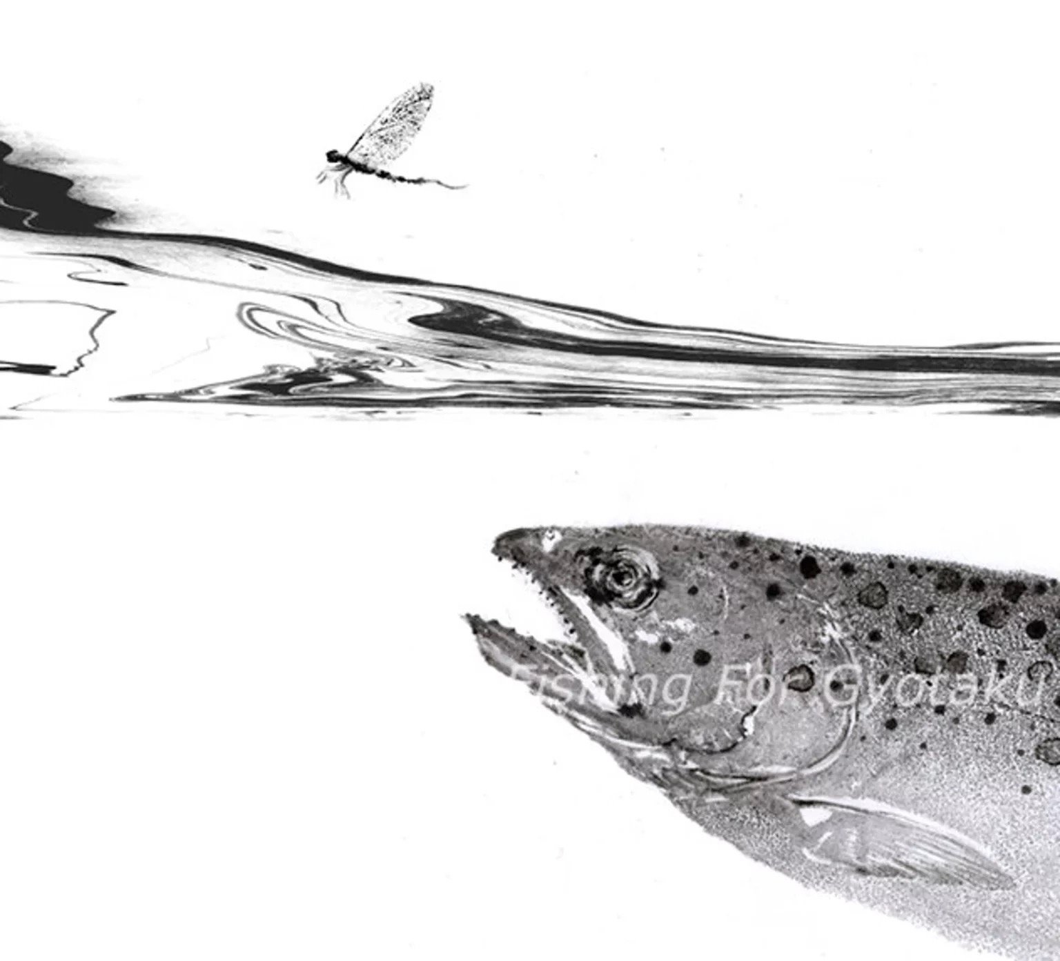 Brown Trout & Mayfly %22Mayfly Unawares%22 Reproduction.jpeg