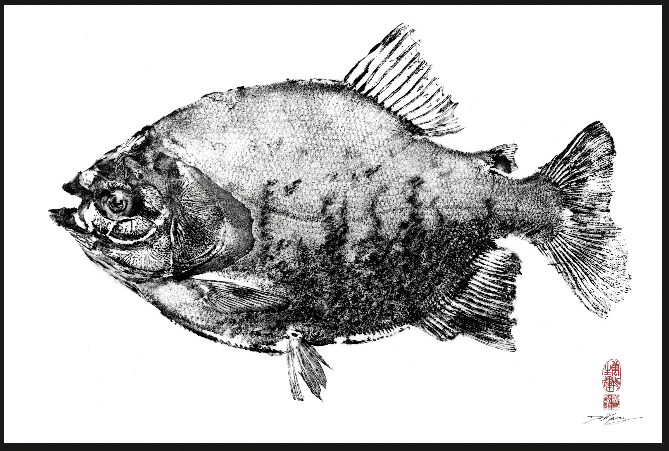 Screenshot 2026-01-16 at 9.56.25 AM.png