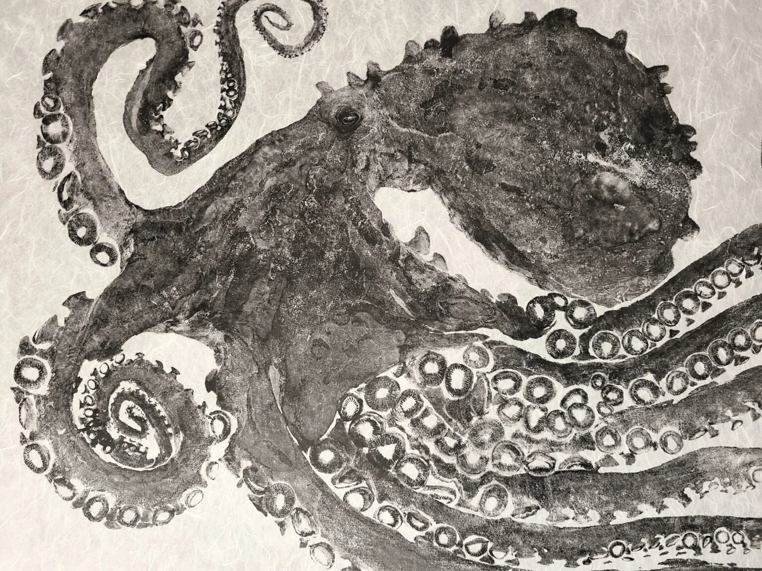 Pacific Giant Octopus reproduction print 24x36%22 on Unryu Paper 1.jpg