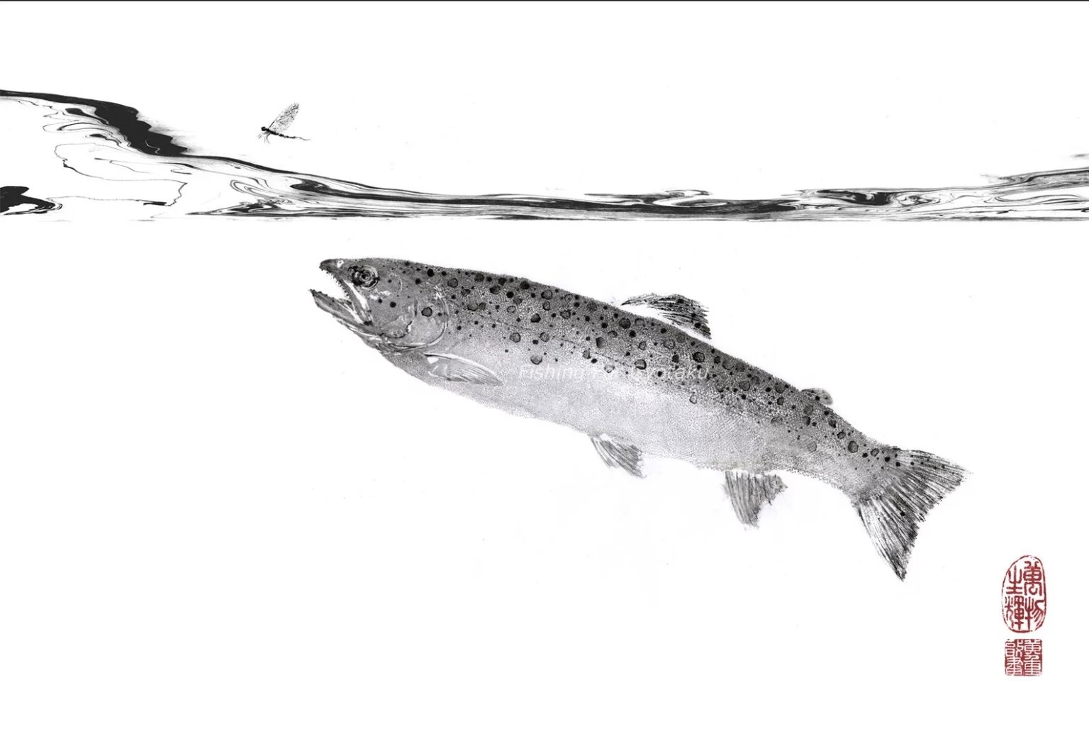 Brown Trout & Mayfly %22Mayfly Unawares%22 Reproduction 1.jpeg