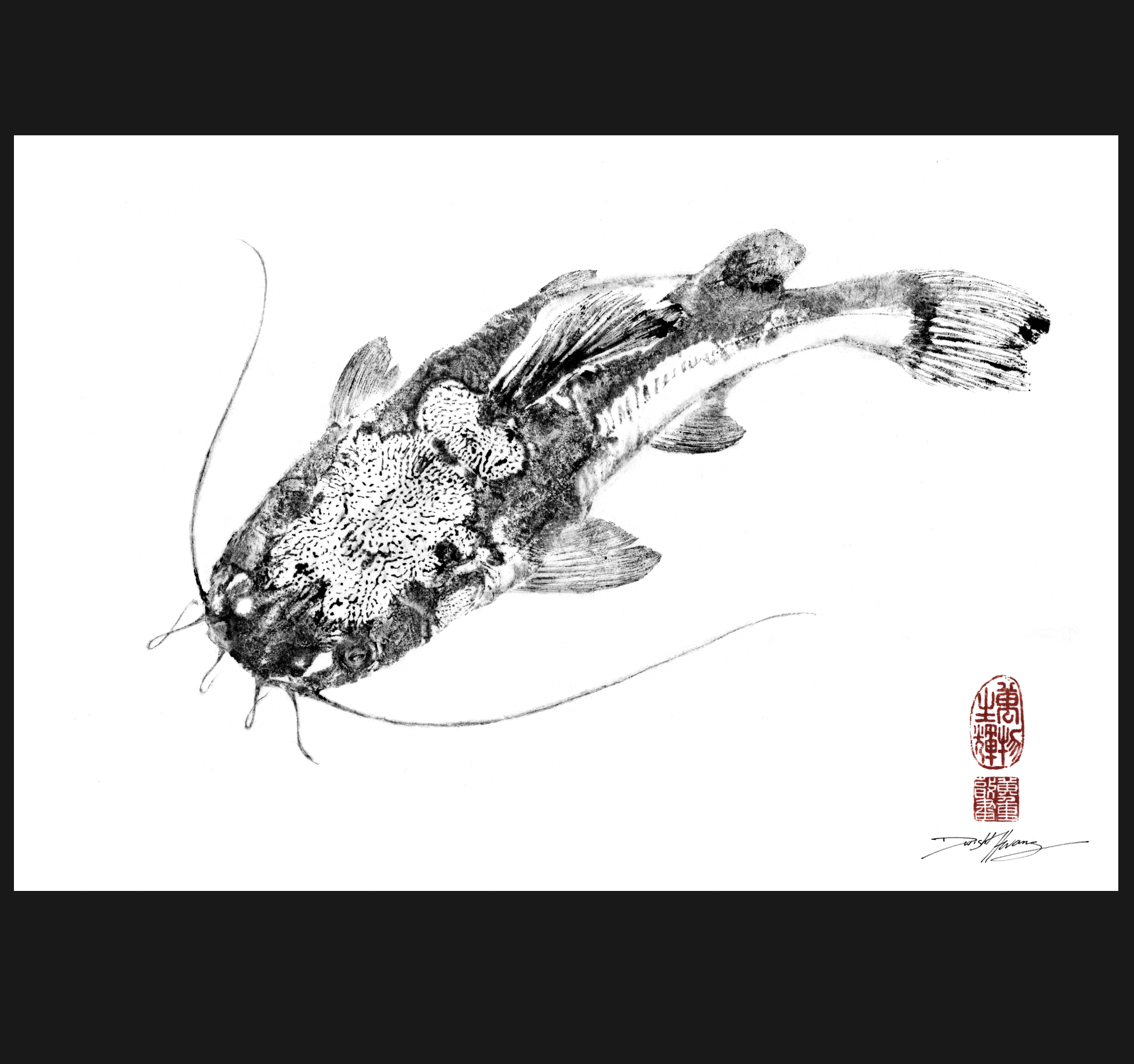 Amazon River Redtail Catfish (angled) Gyotaku Reproduction Print