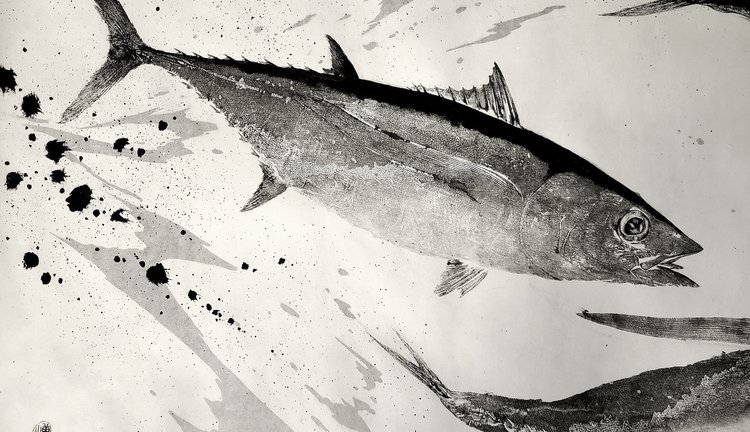 Acrobatic Albacore 4.jpeg
