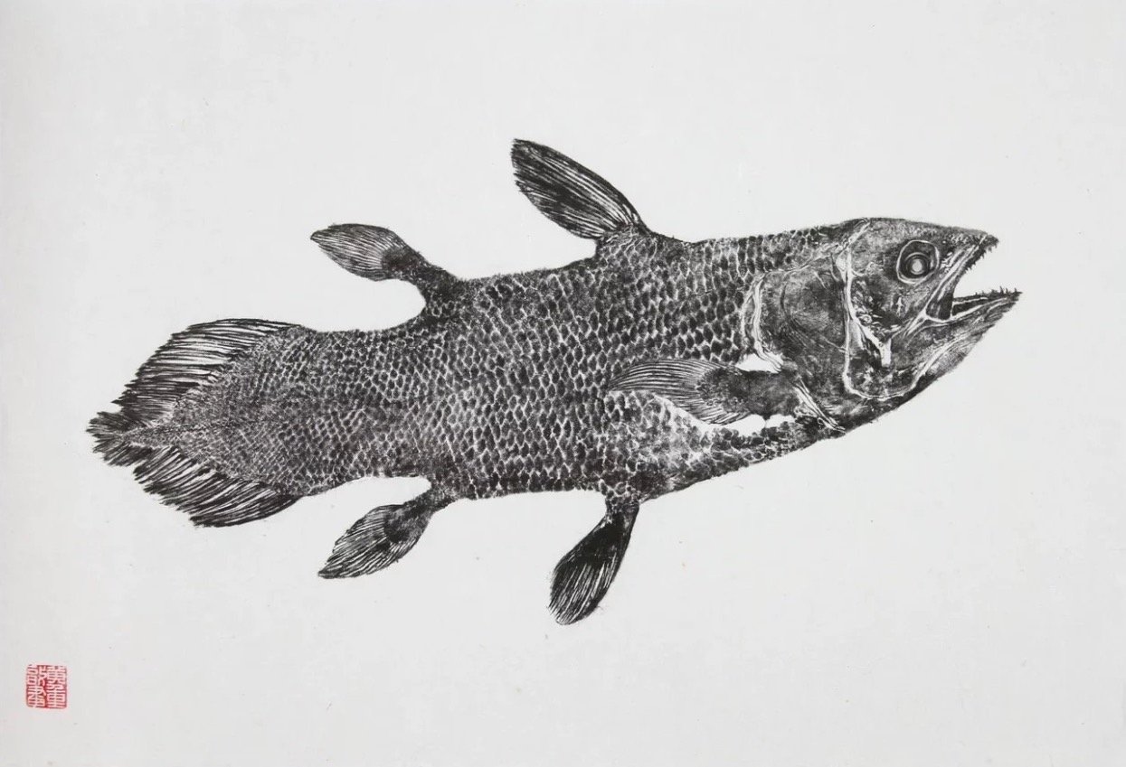 Coelacanth Reproduction.jpeg