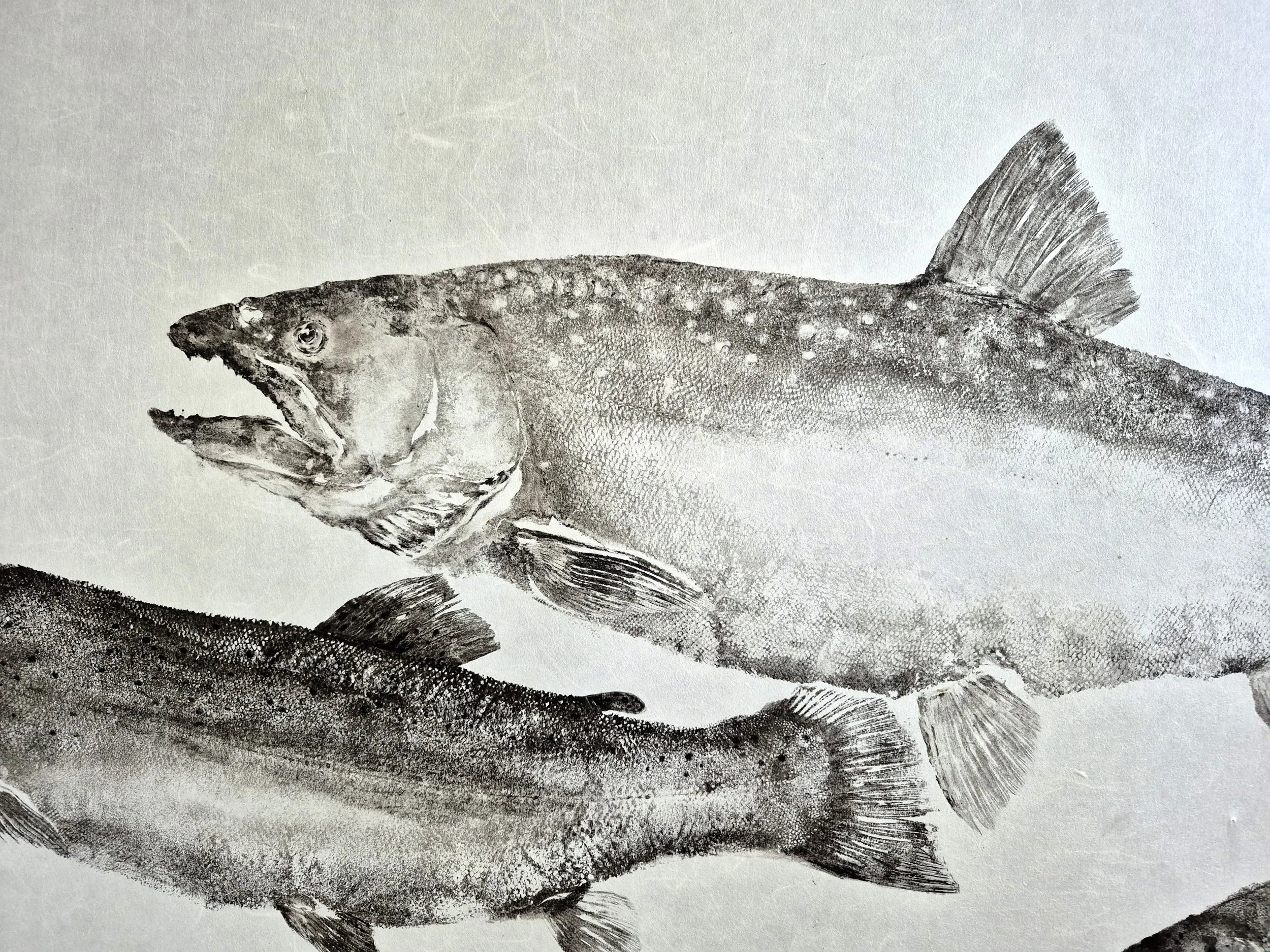 20260716_153508.jpg
