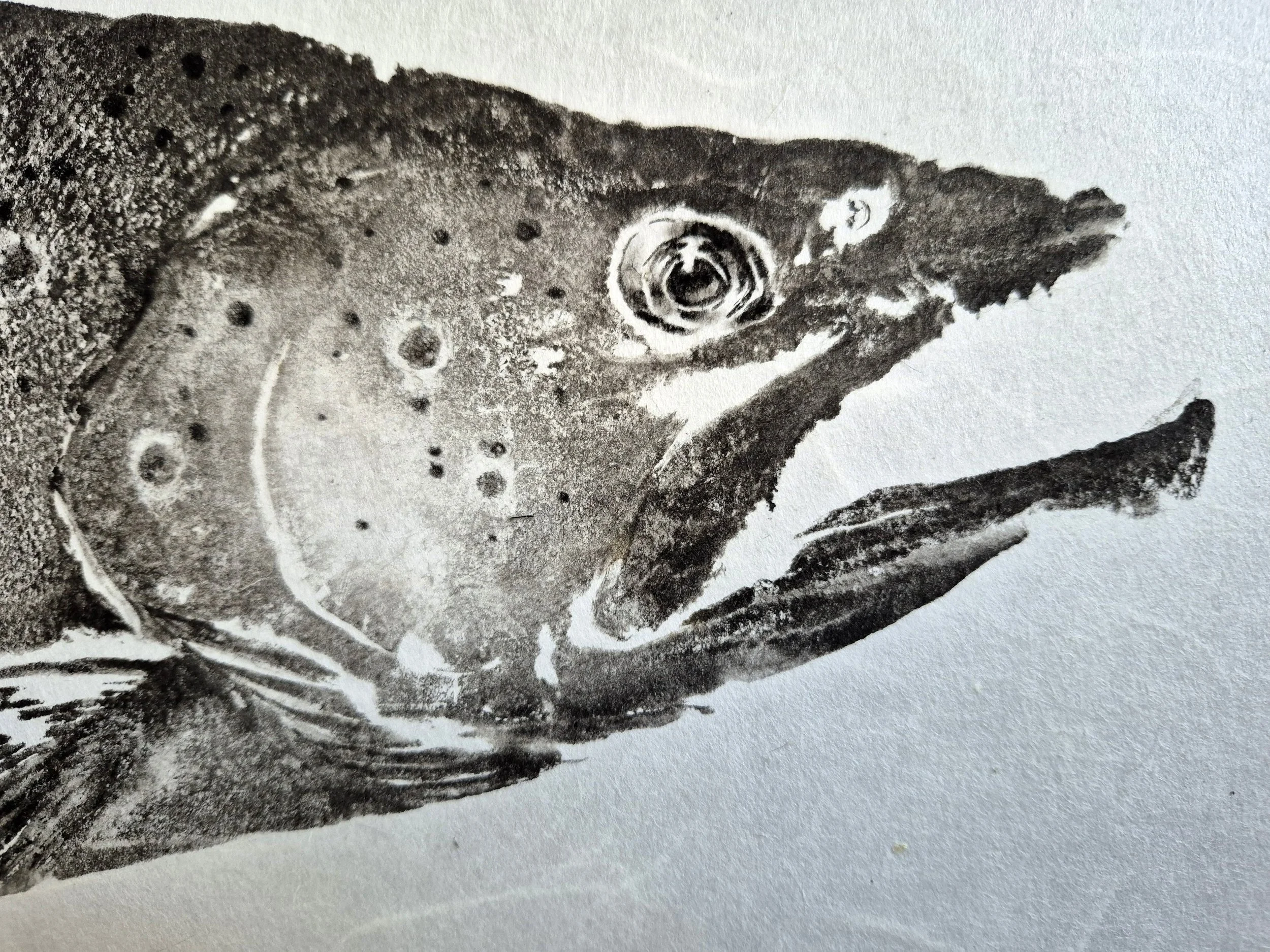 20260716_153550.jpg