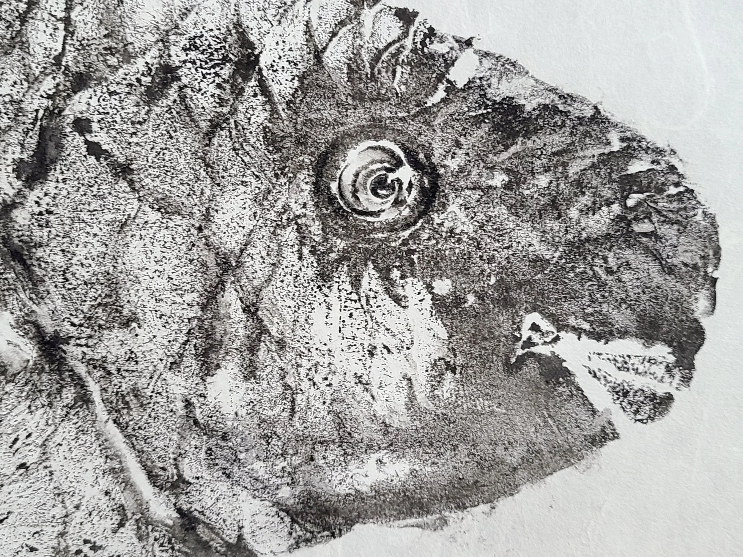 20250818_163740.jpg