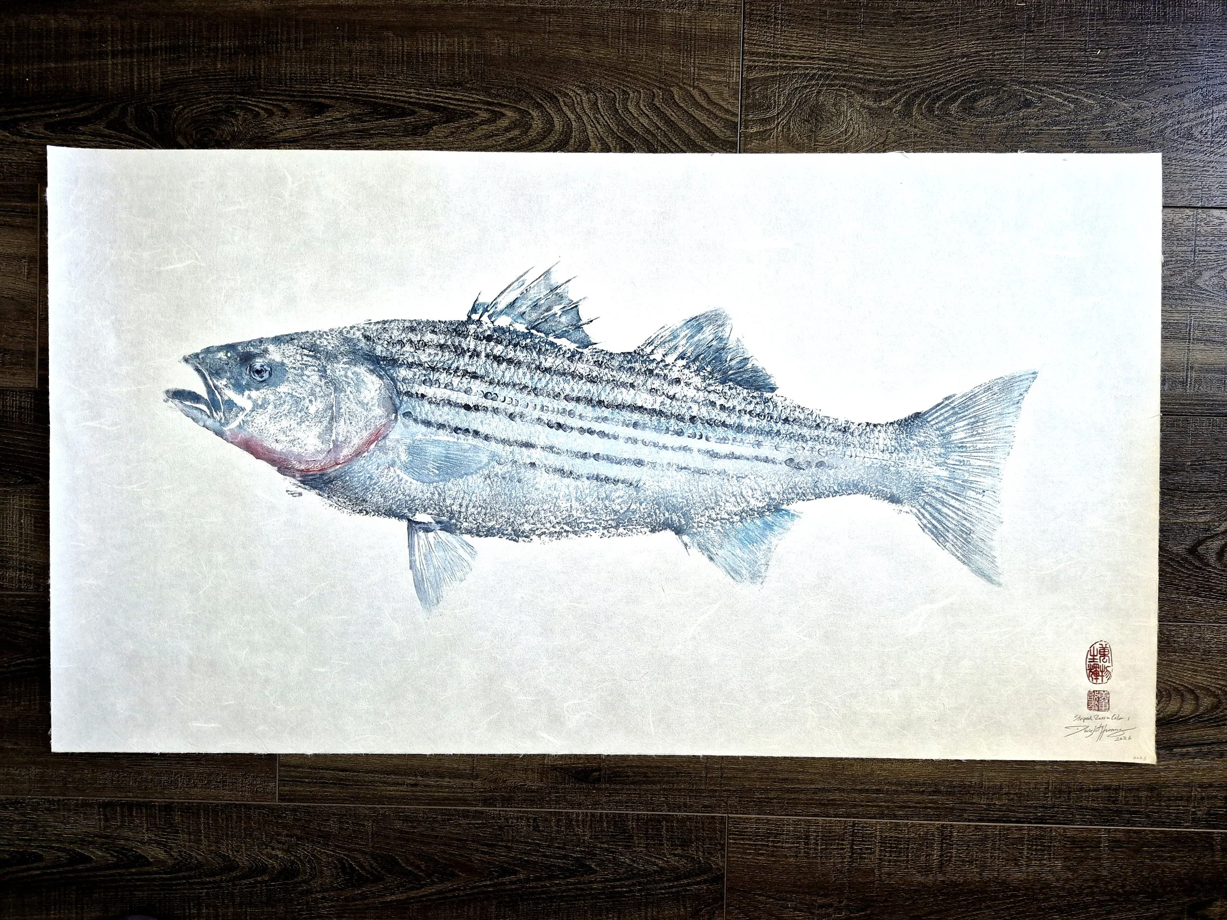 Striped Bass Color Gyotaku I - 38x21" 2026