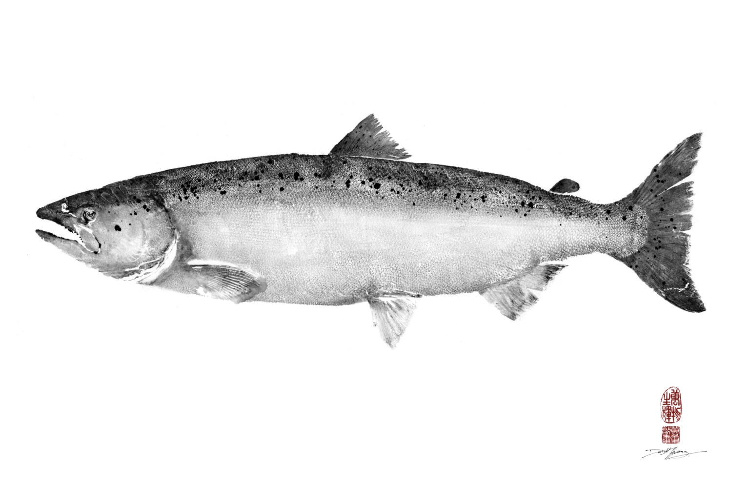 Chinook Salmon Ocean Pattern B&W Reproduction Print.png