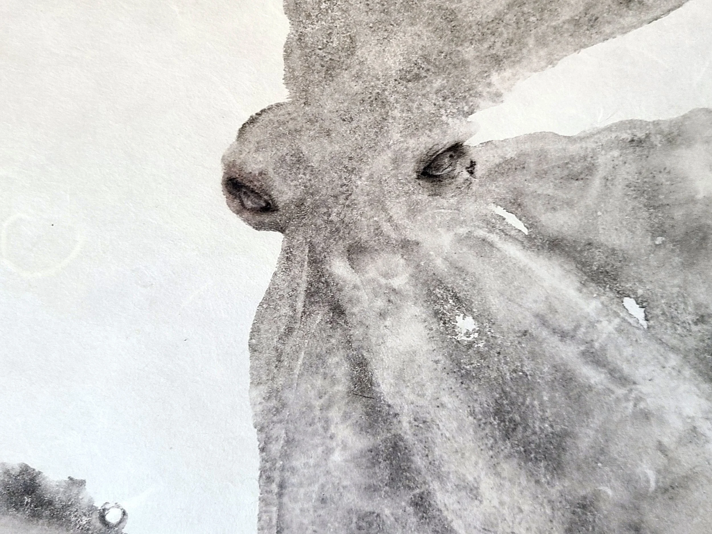 20250818_121514.jpg