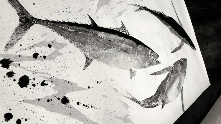 Acrobatic Albacore 5.jpeg