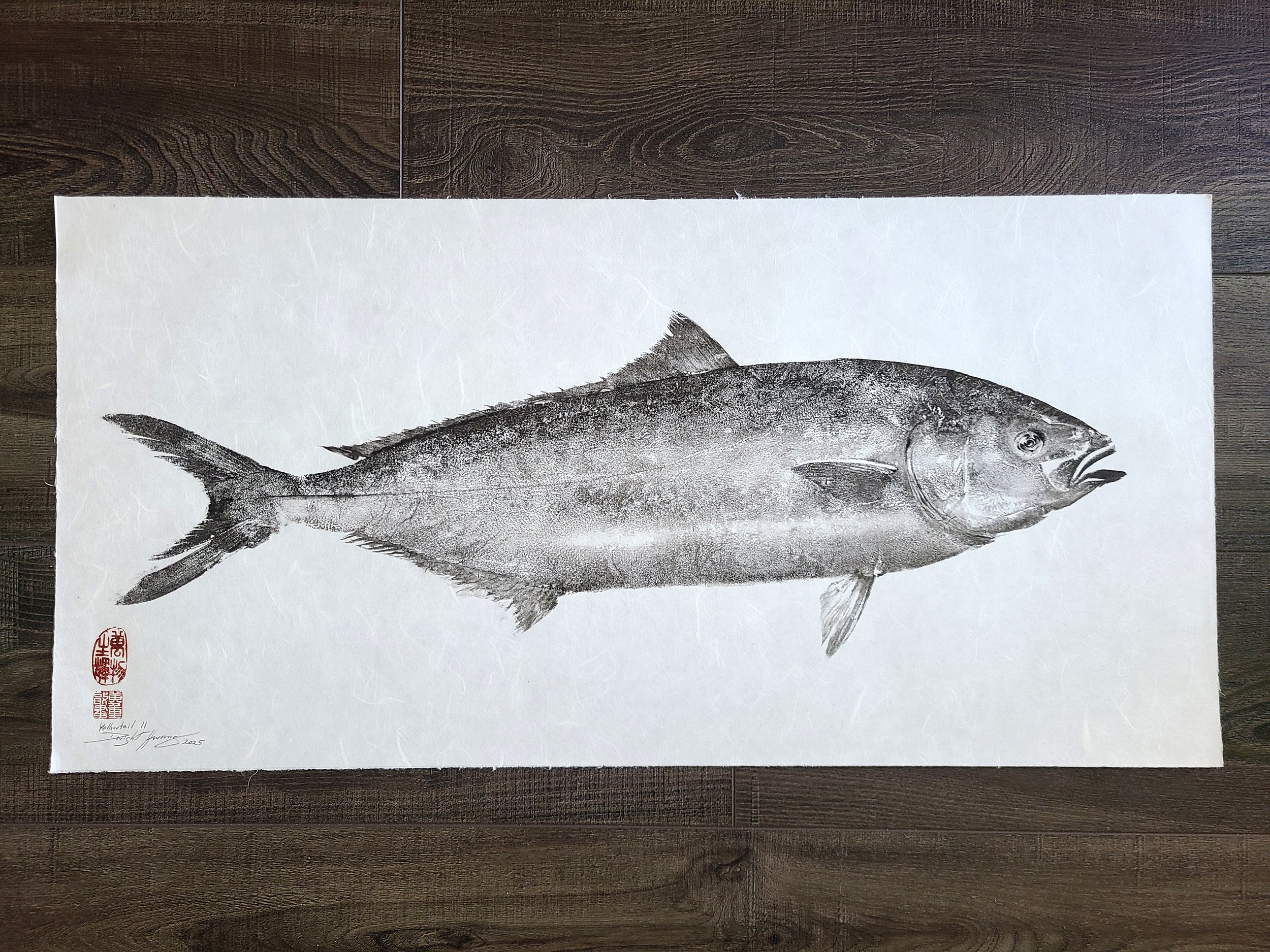 Yellowtail, Small #1, 2025