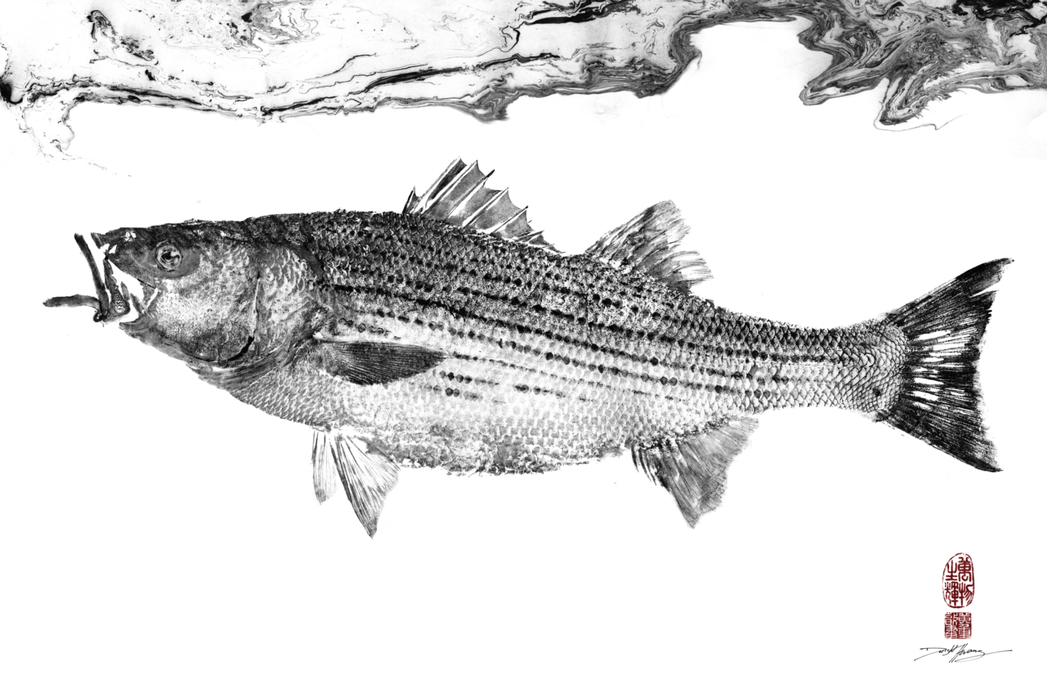 Striped Bass under Suminagashi Reproduction Print.png
