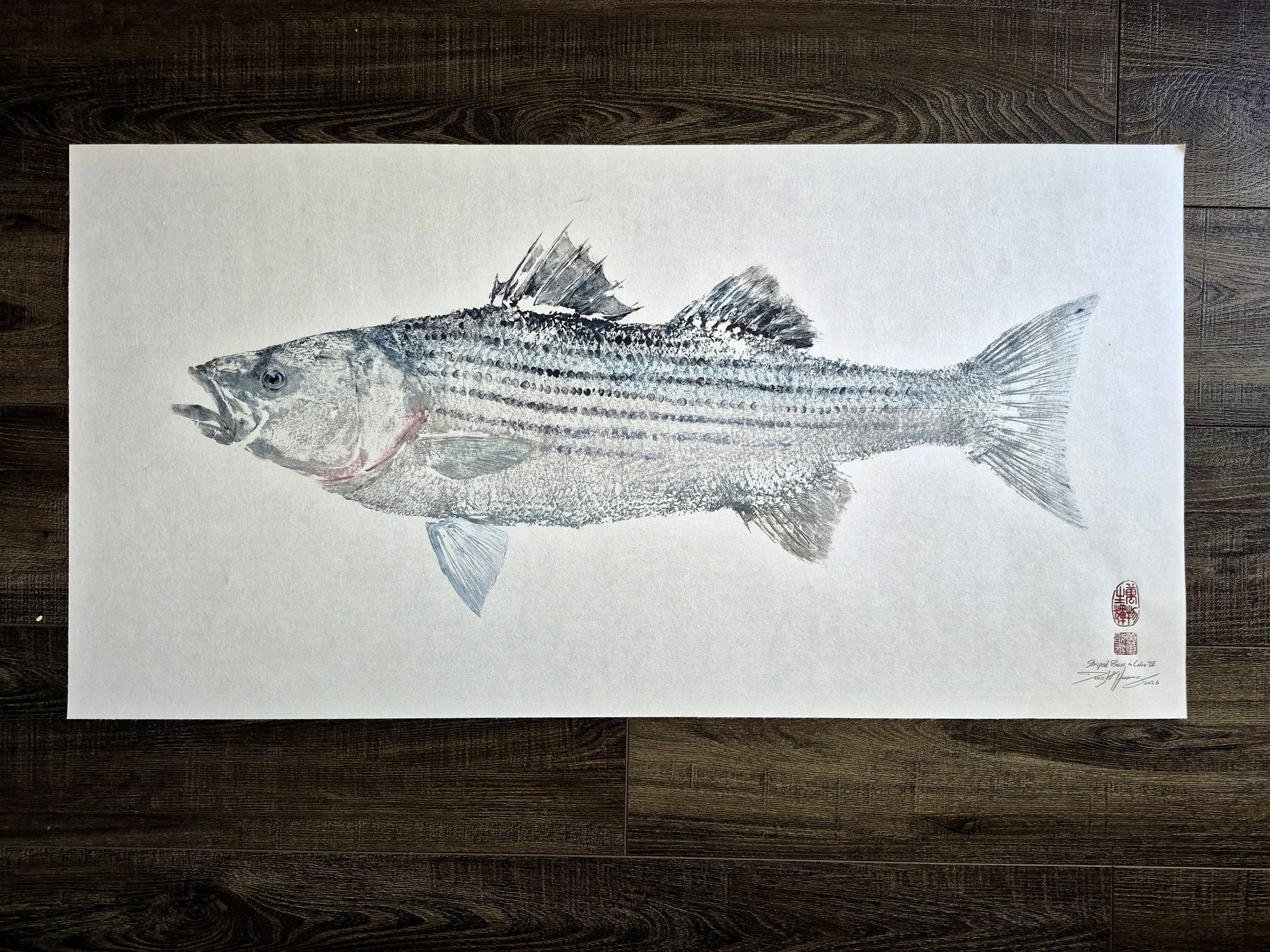 Striped Bass Color Gyotaku IV - 36x18.5" 2026