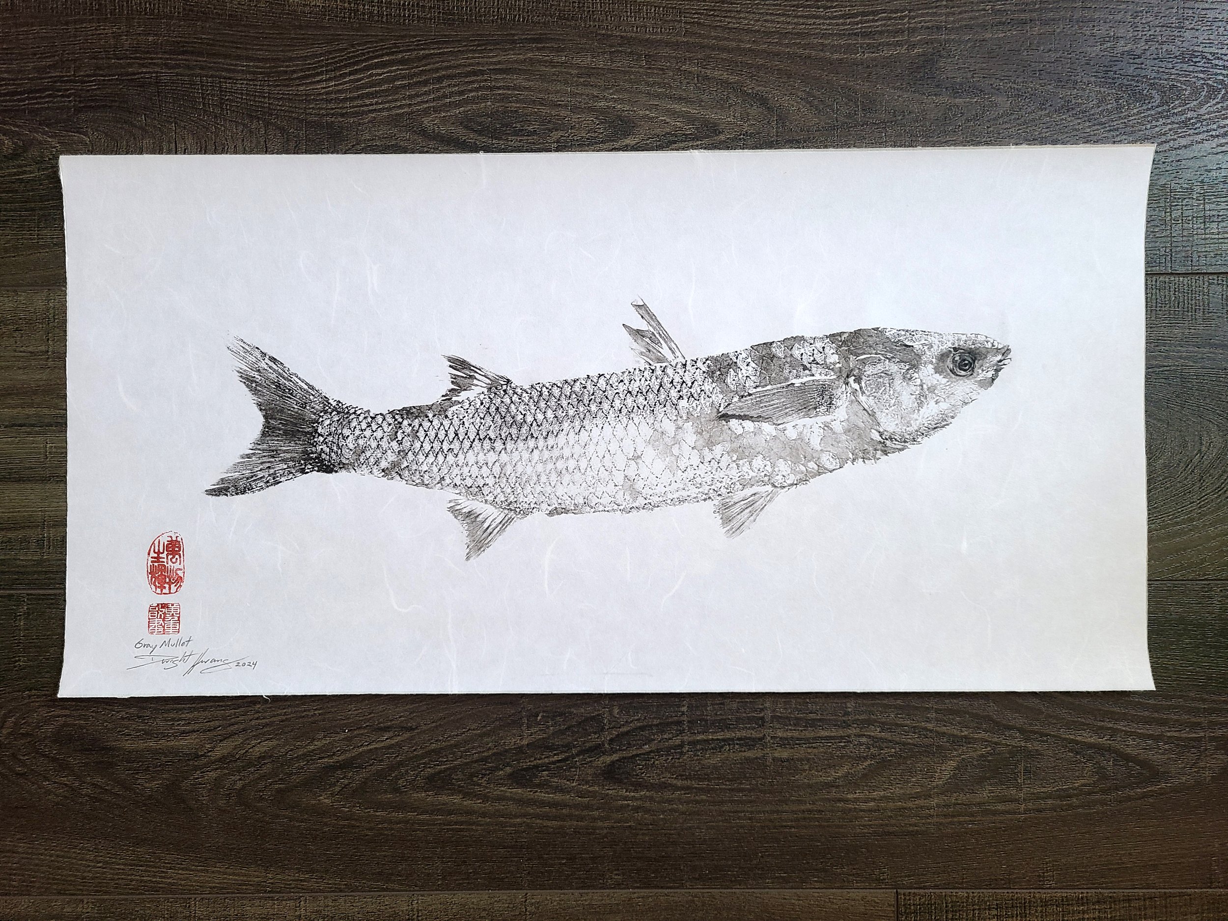 Gyotaku of Gray Mullet 25x12.5"
