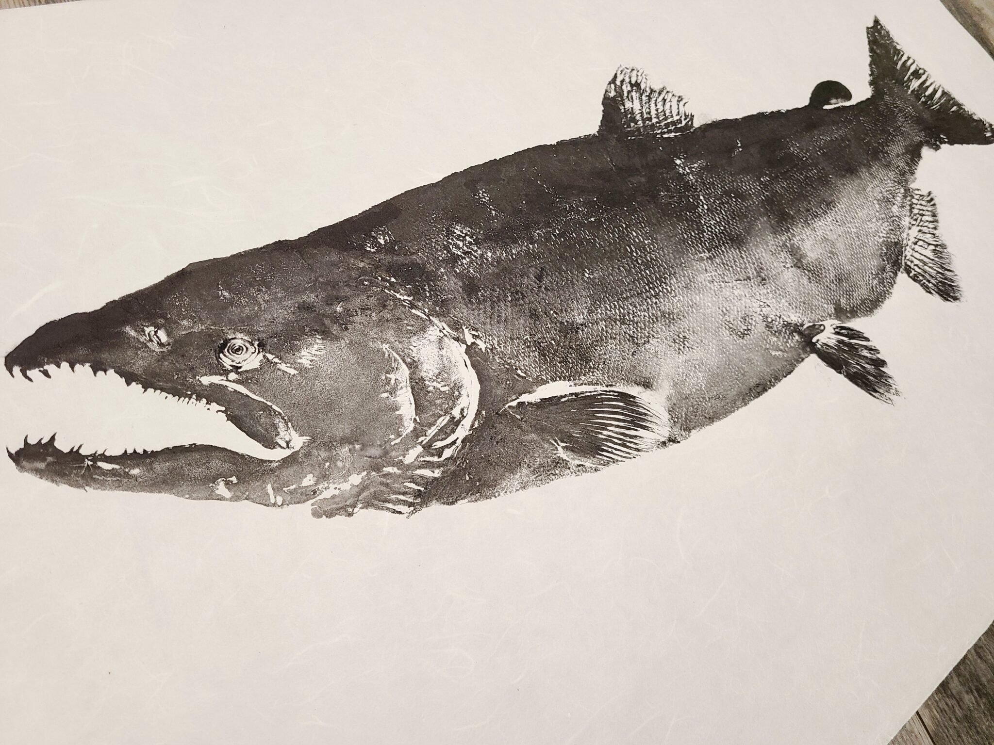 Chinook Salmon Late Spawning Pattern #1-4.jpg