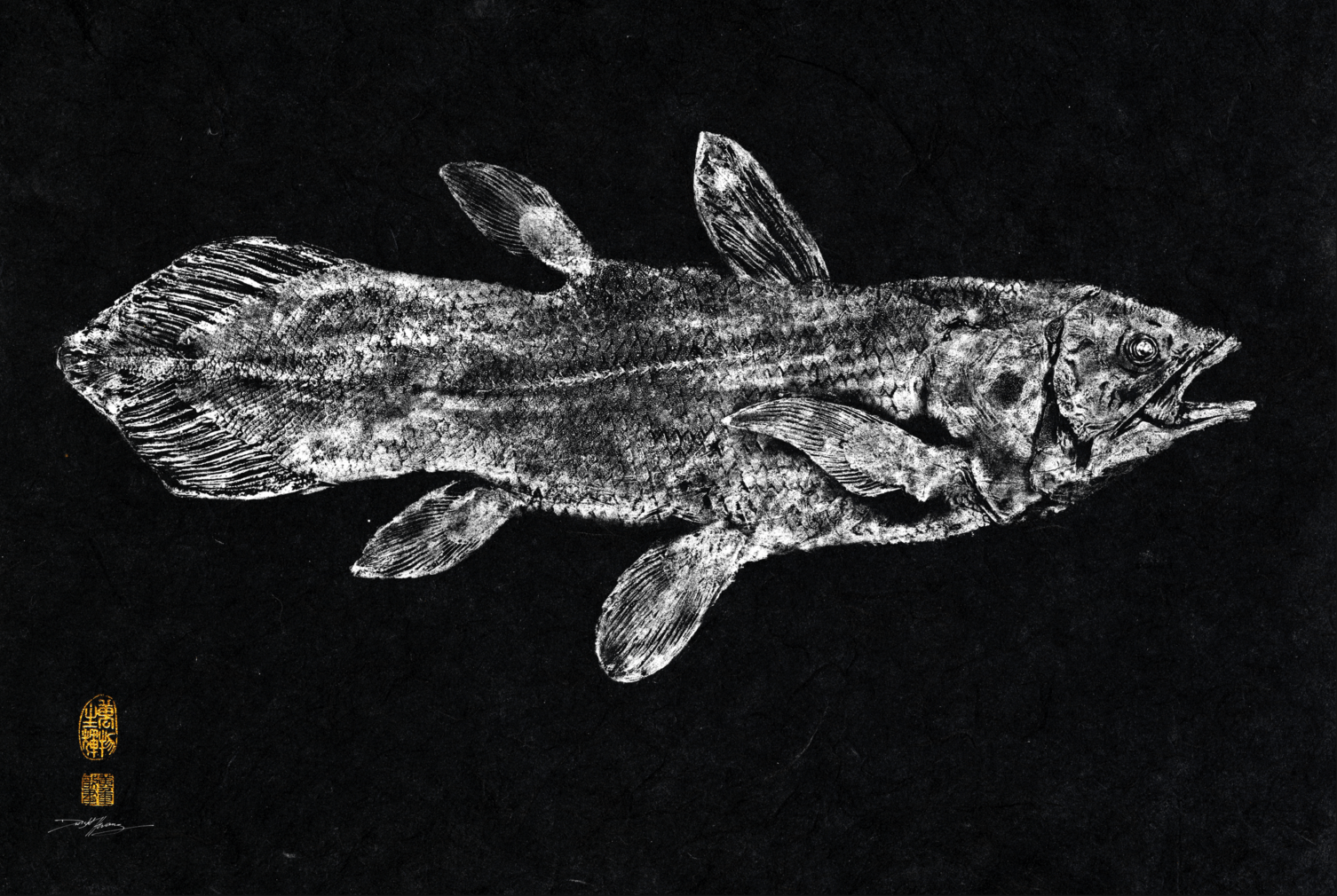 Coelacanth Black BG.png