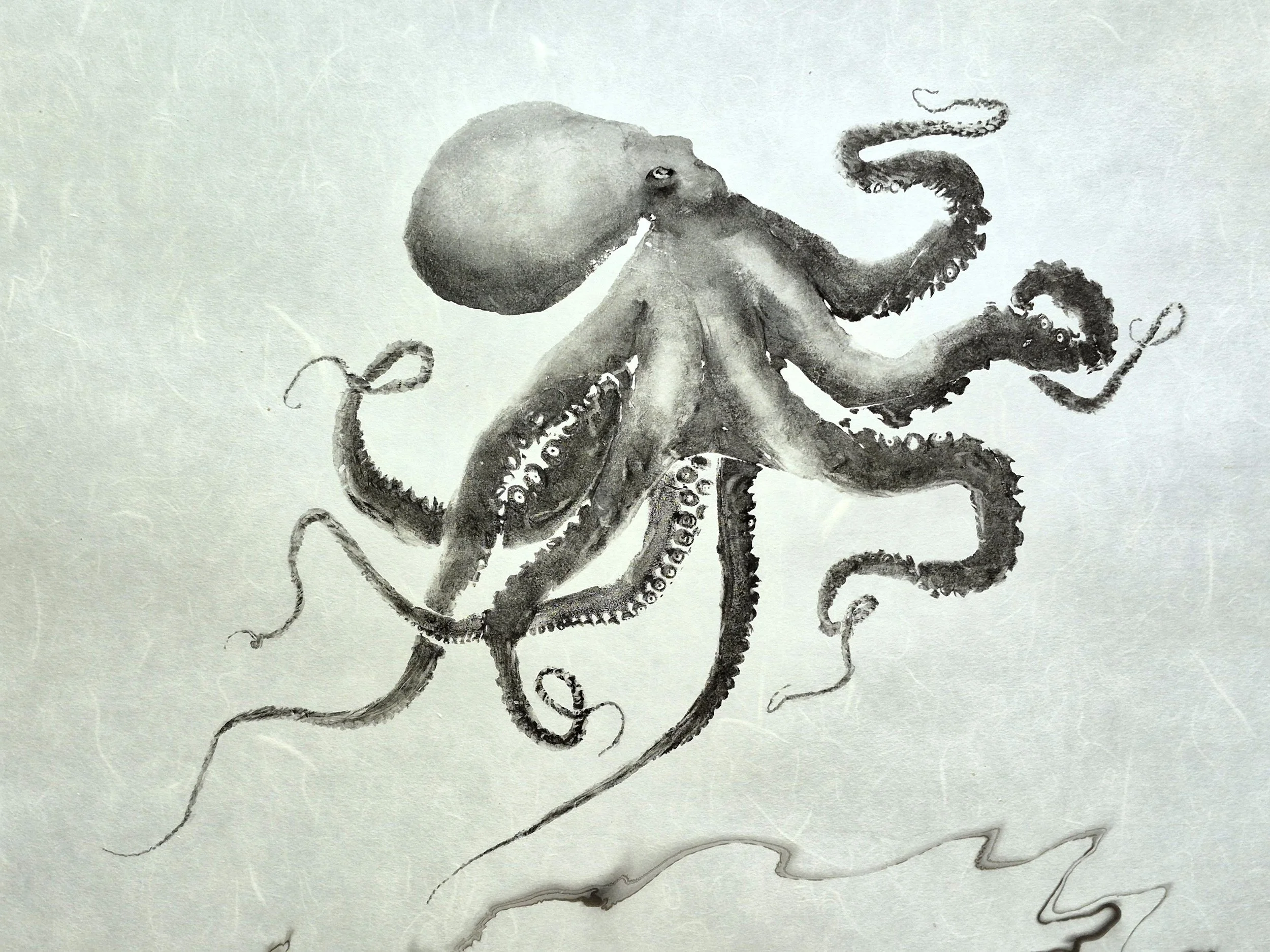 Octopus with coral-esque patterned Suminagashi 30x28.5"