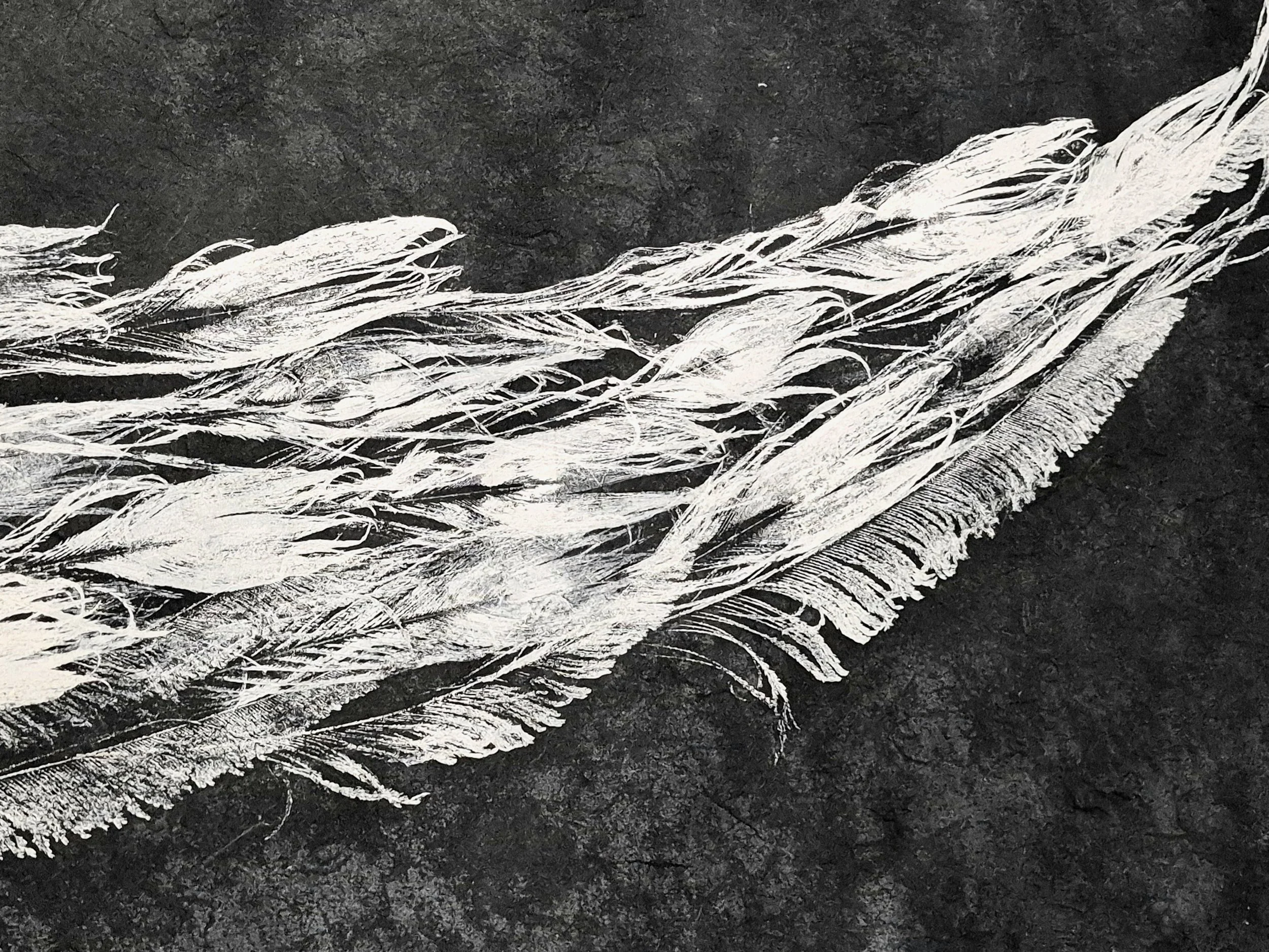 20260724_141447.jpg