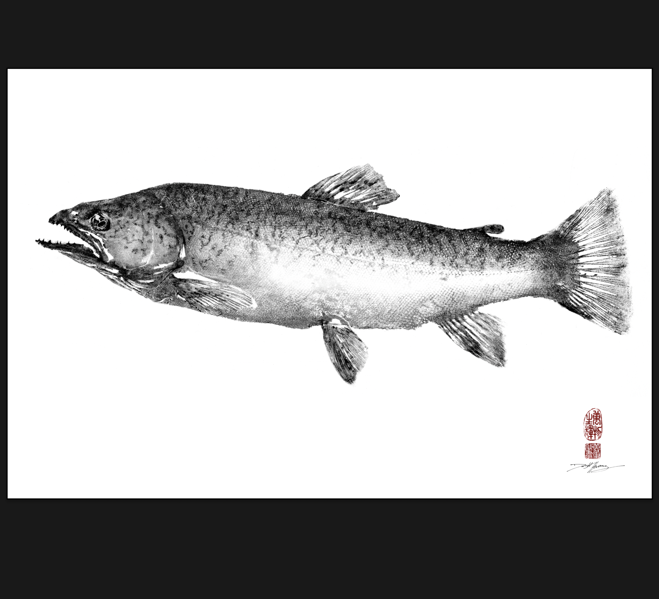 Screenshot 2026-02-23 at 12.24.27 PM.png