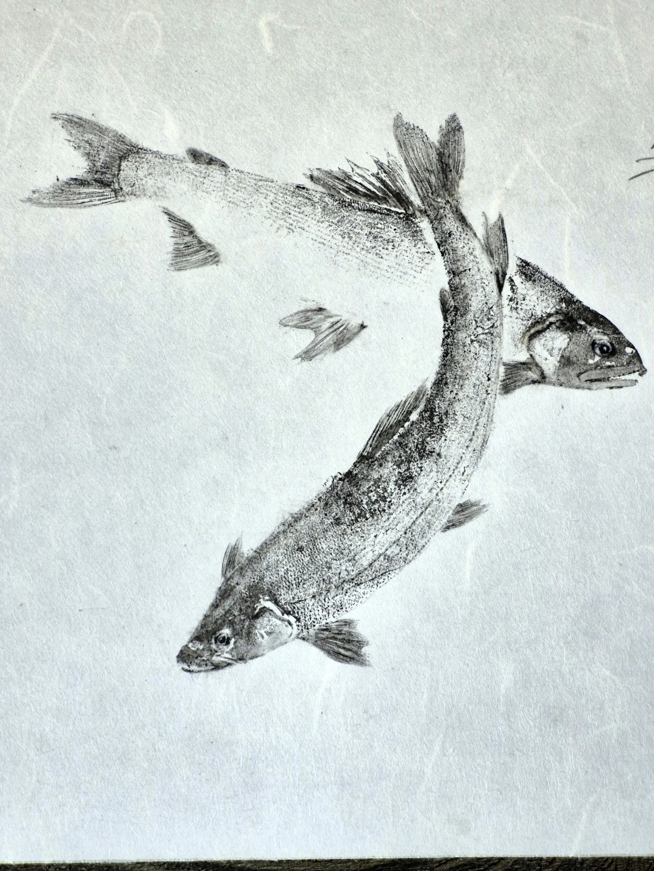 20250902_125443.jpg