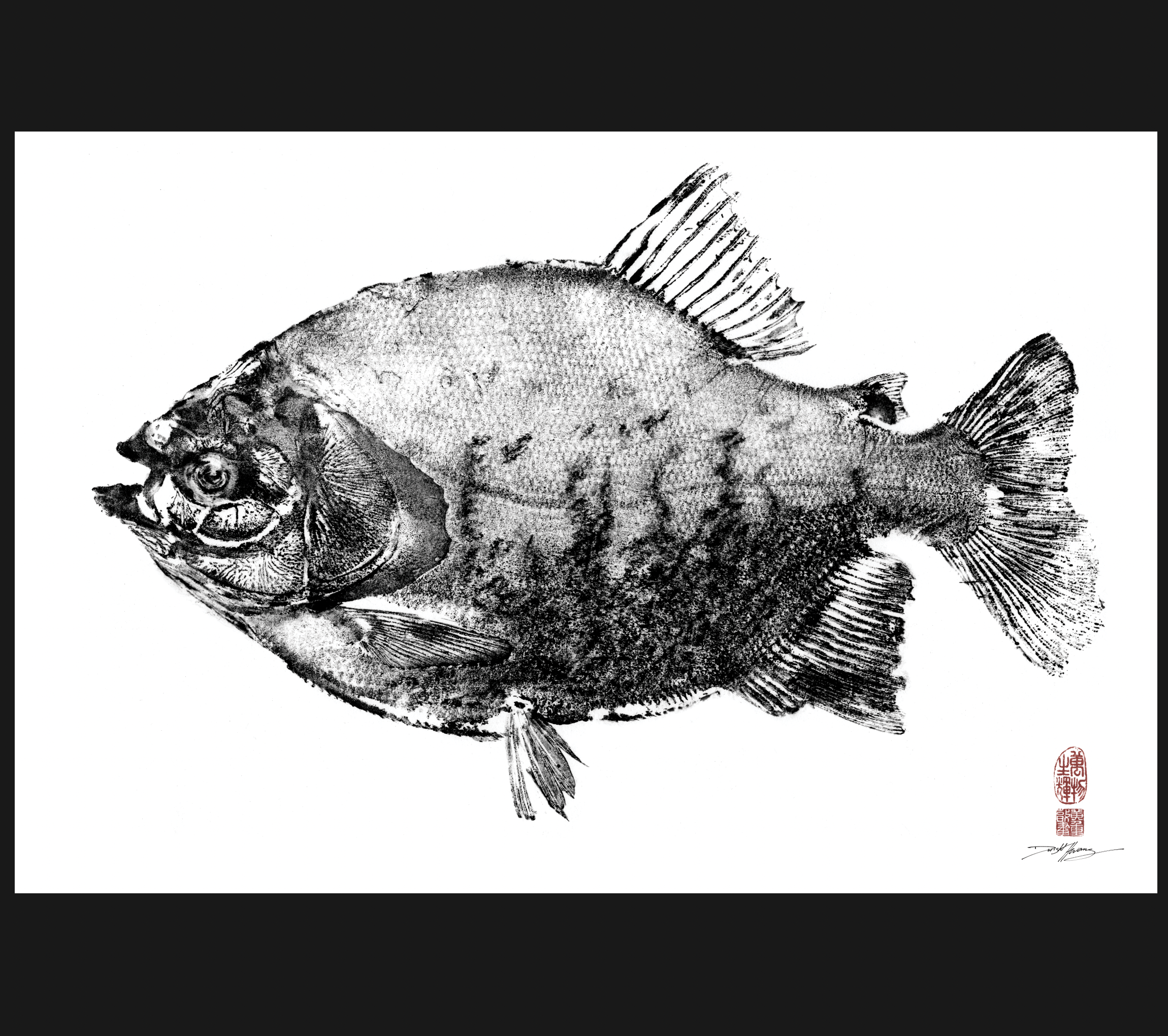 Screenshot 2026-01-16 at 9.56.31 AM.png