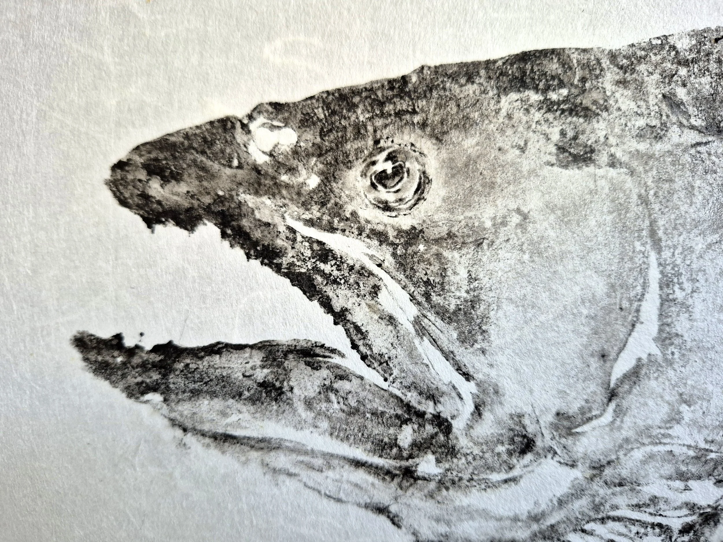 20260716_153515.jpg