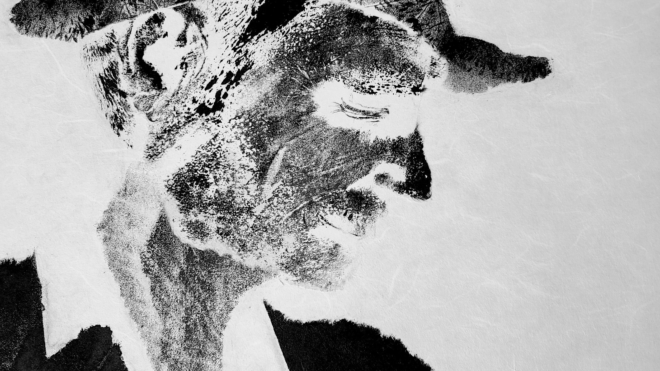 Patrice de Carheil - Former Musician with Parkinson's Disease