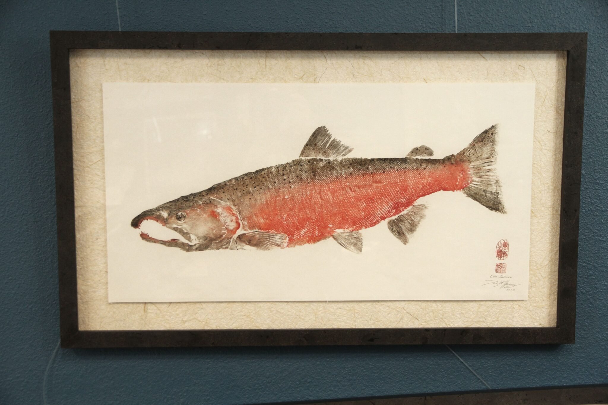 Coho Salmon Spawning Colors Framed.jpeg