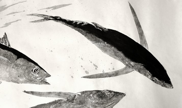 Acrobatic Albacore 1.jpeg