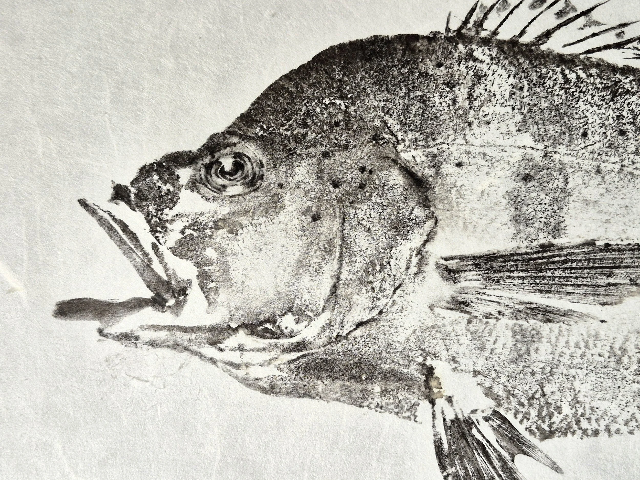 20250825_130610.jpg